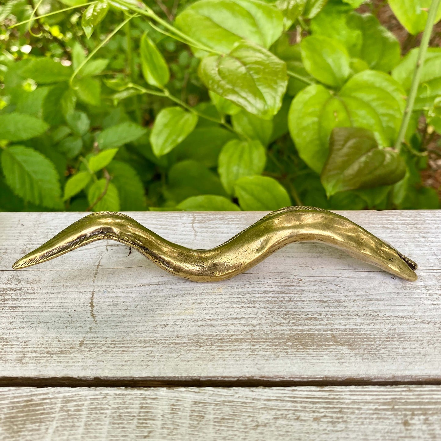Solid Brass Electric Eel - Symbol of Energy, Hidden Power, Intuition
