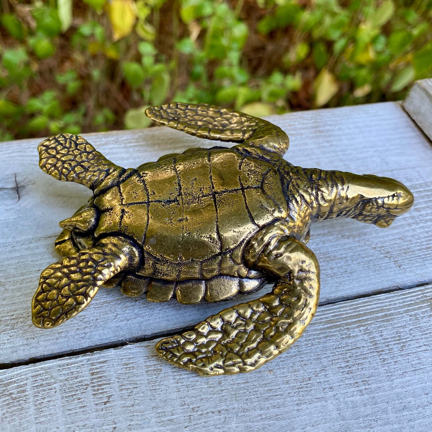 Large solid brass sea turtle sculpture by Wild Brass, detailed view highlighting its intricate design and smooth, polished surface.