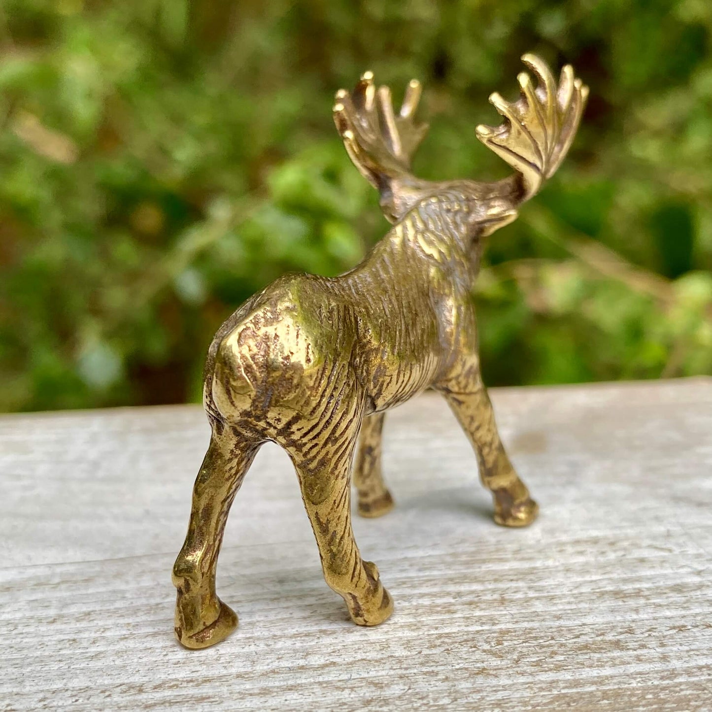 Solid brass moose sculpture by Wild Brass, symbol of strength, wisdom, and confidence, detailed and polished finish.