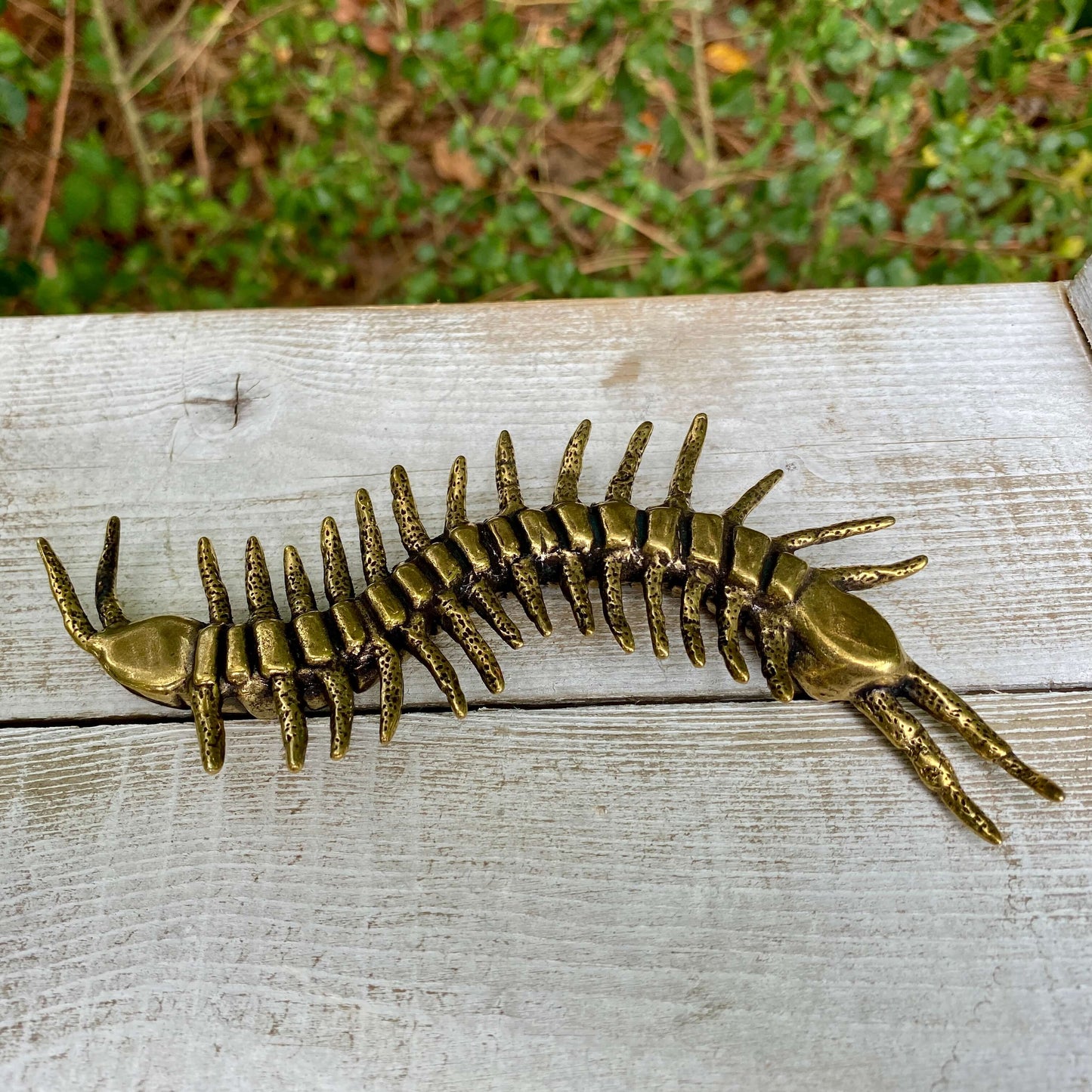 Wild Brass solid brass centipede sculpture symbolizing protection, persistence, and flexibility, shown with detailed segmented body.