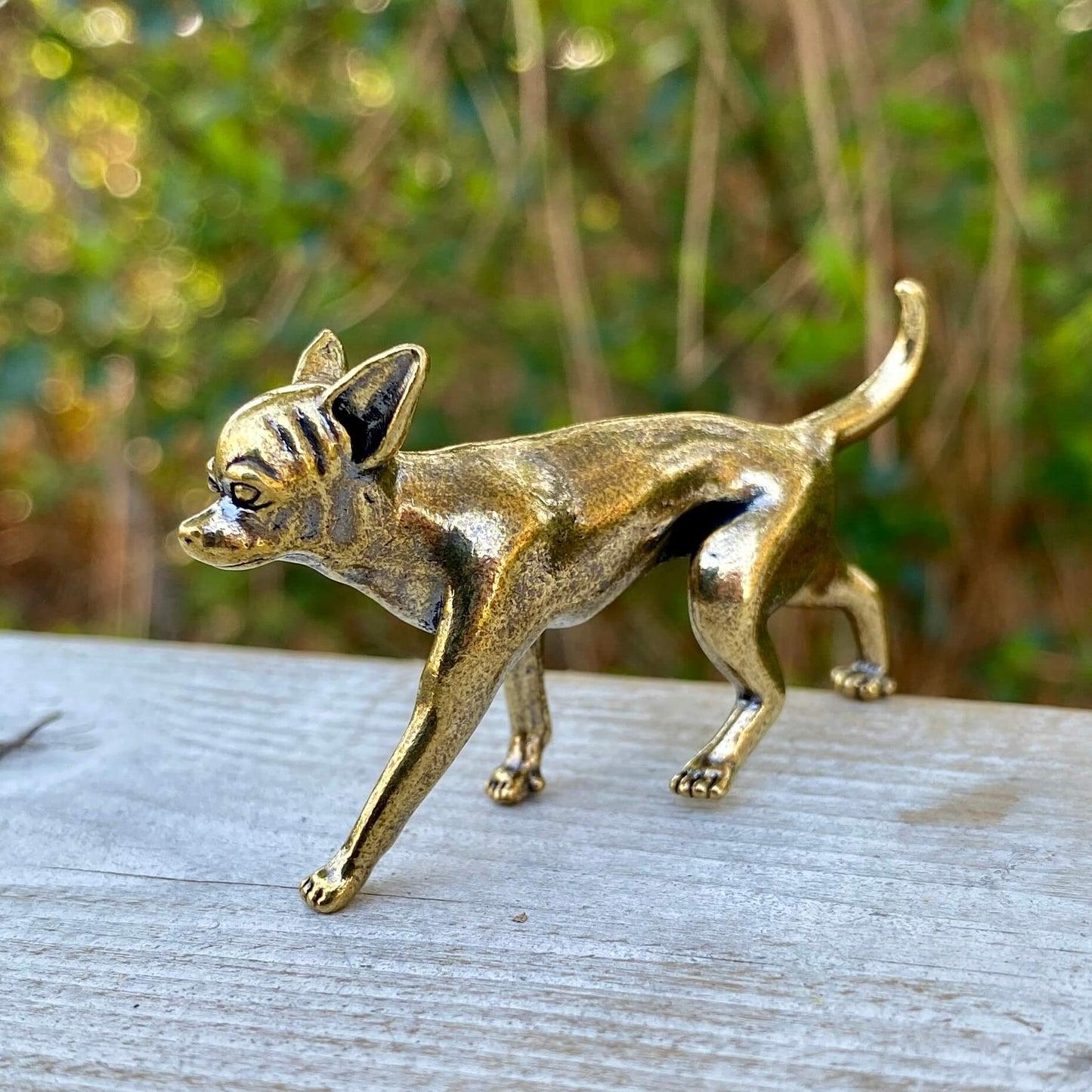 Solid brass Chihuahua dog figurine by Wild Brass, showcasing a detailed sculpture symbolizing loyalty, energy, and courage.