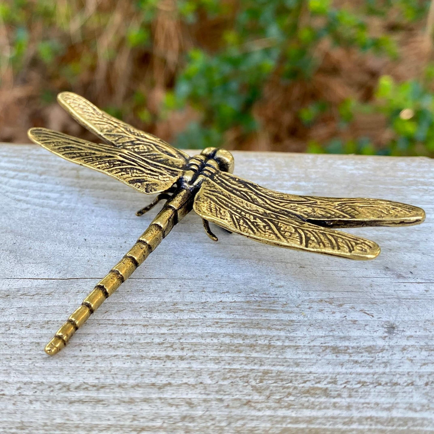 Solid brass dragonfly sculpture by Wild Brass symbolizing self-realization and living in the moment, displayed on a neutral background.