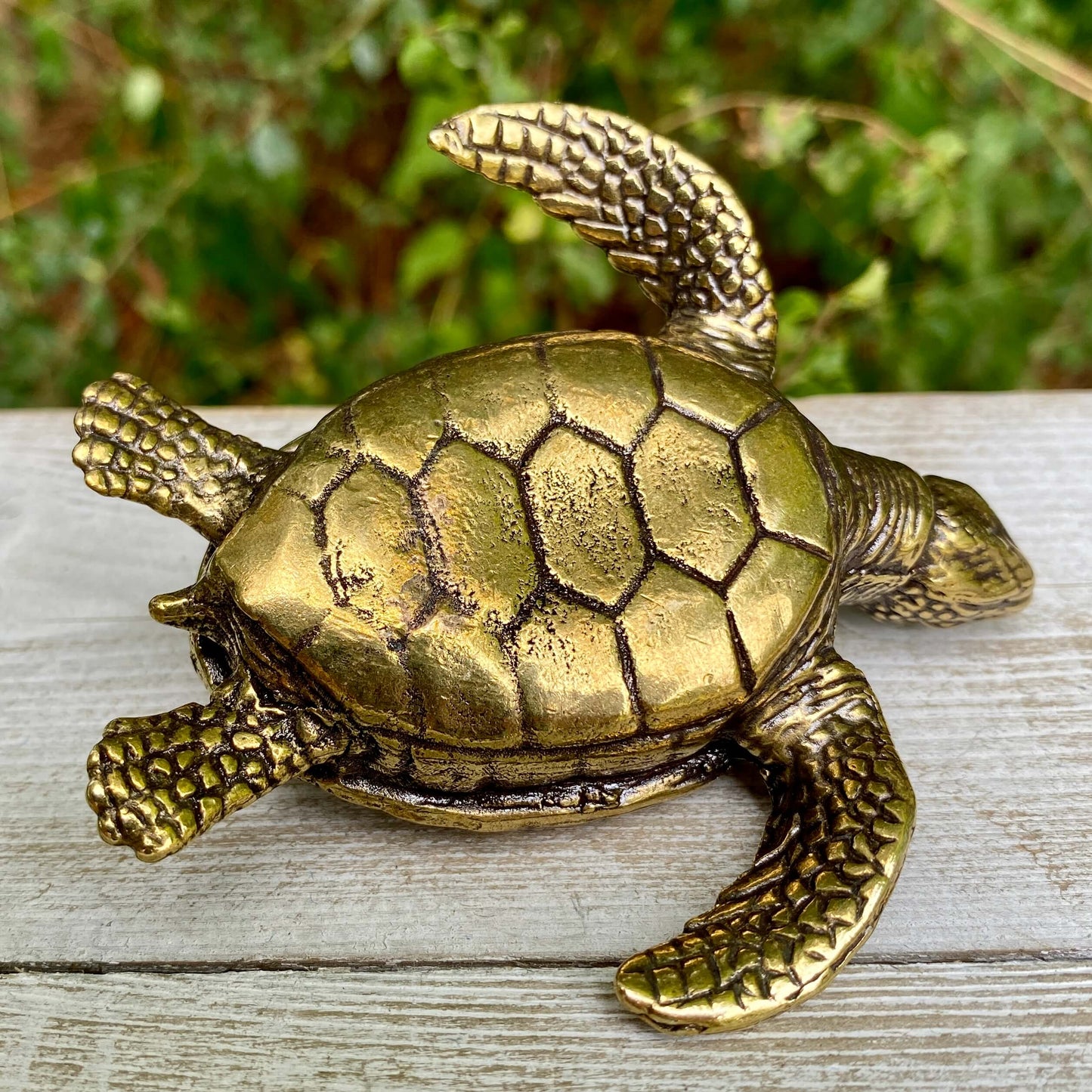 Solid brass sea turtle sculpture by Wild Brass, symbolizing longevity, wisdom, and endurance, with detailed features and a polished finish.