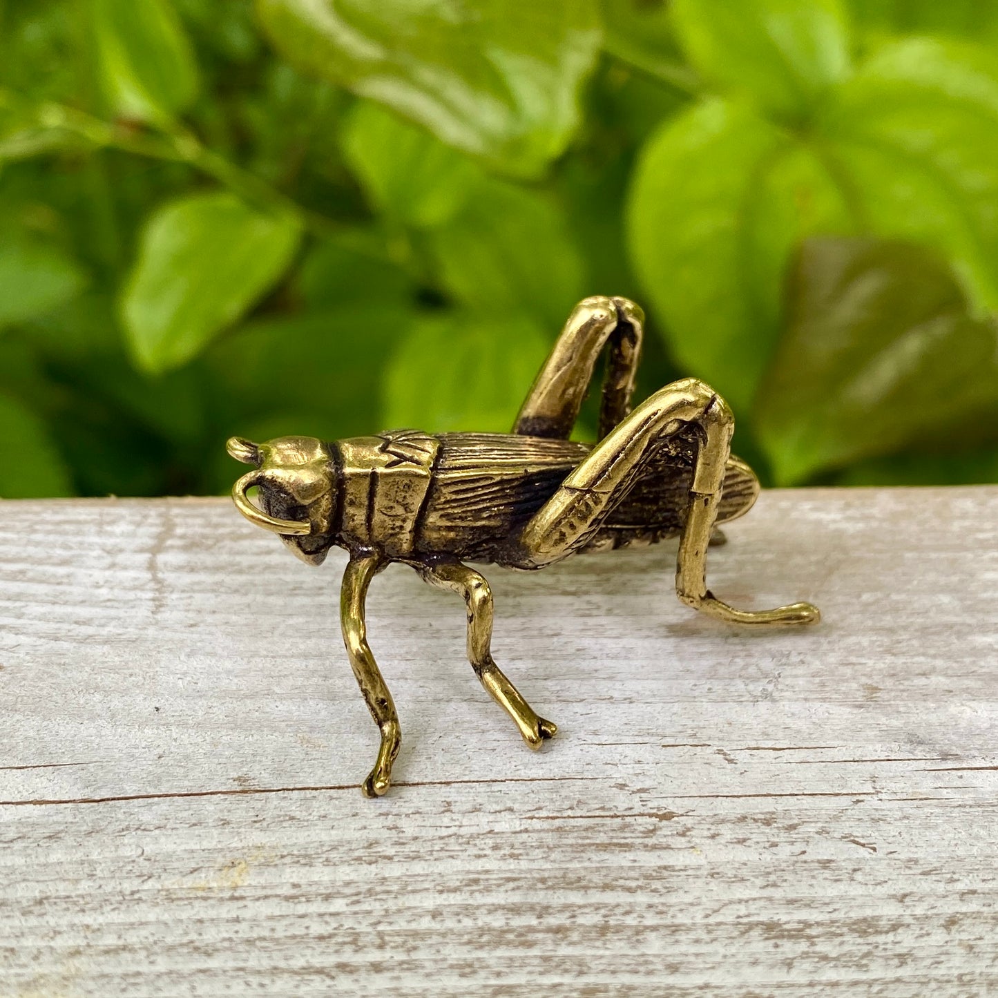 Solid Brass Grass Hopper / Cricket - Symbol of Good Fortune, Growth & Faith