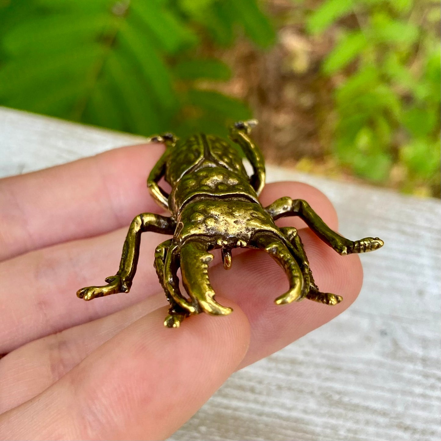 Solid brass stag beetle bug from Wild Brass, symbol of strength and protection, shown with detailed craftsmanship.