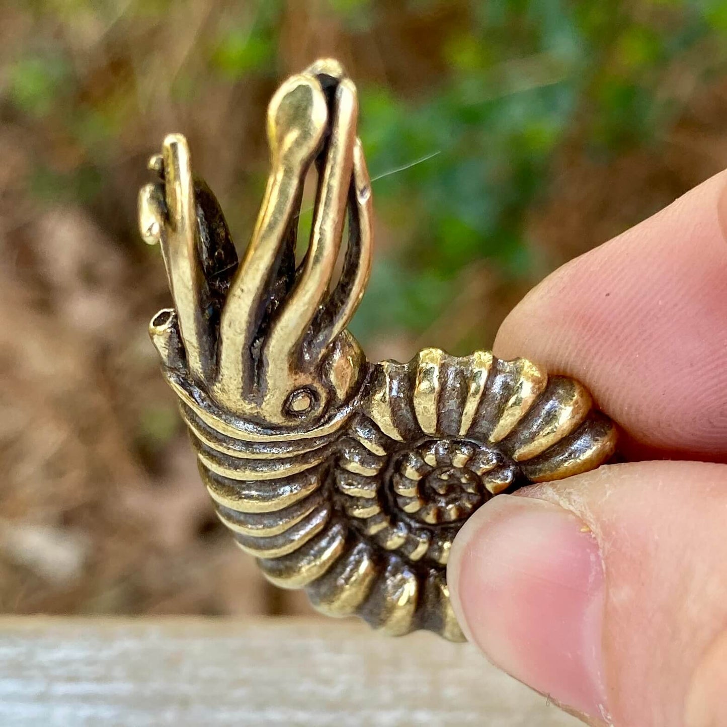Solid brass ammonite fossil with Fibonacci spiral design, symbolizing ancient origins and evolutionary history by Wild Brass.