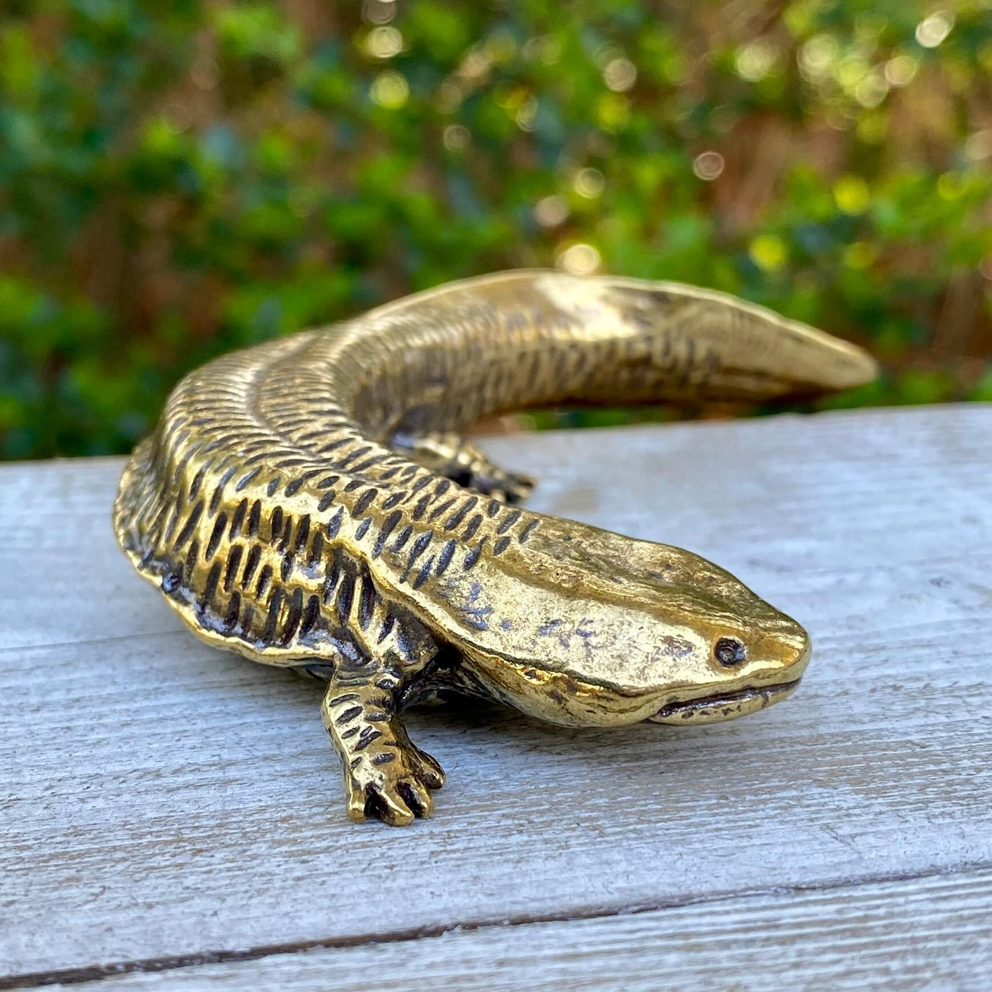 Solid brass salamander sculpture by Wild Brass, showcasing a detailed, resilient axolotl with a smooth, polished finish.