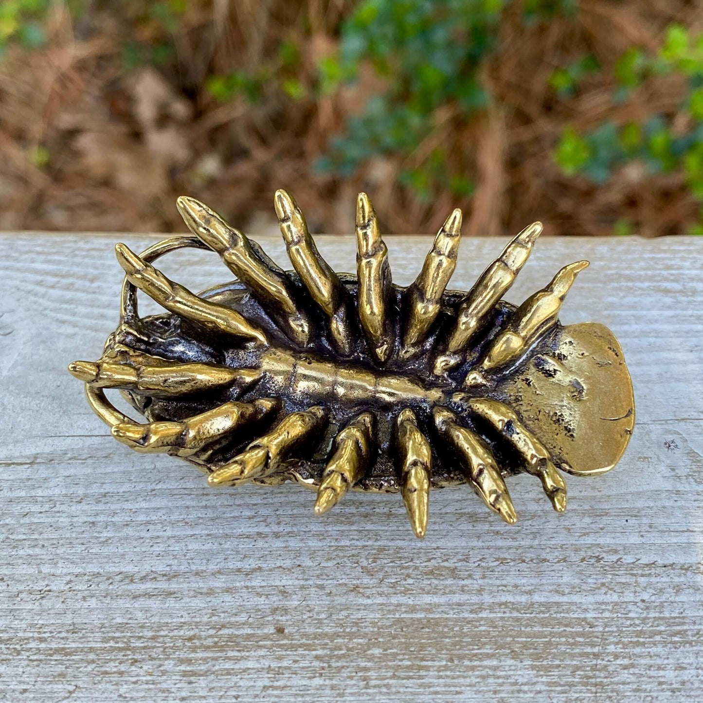 Solid brass giant isopod sculpture by Wild Brass, showcasing detailed, realistic features of this curiosity symbol in a natural pose.