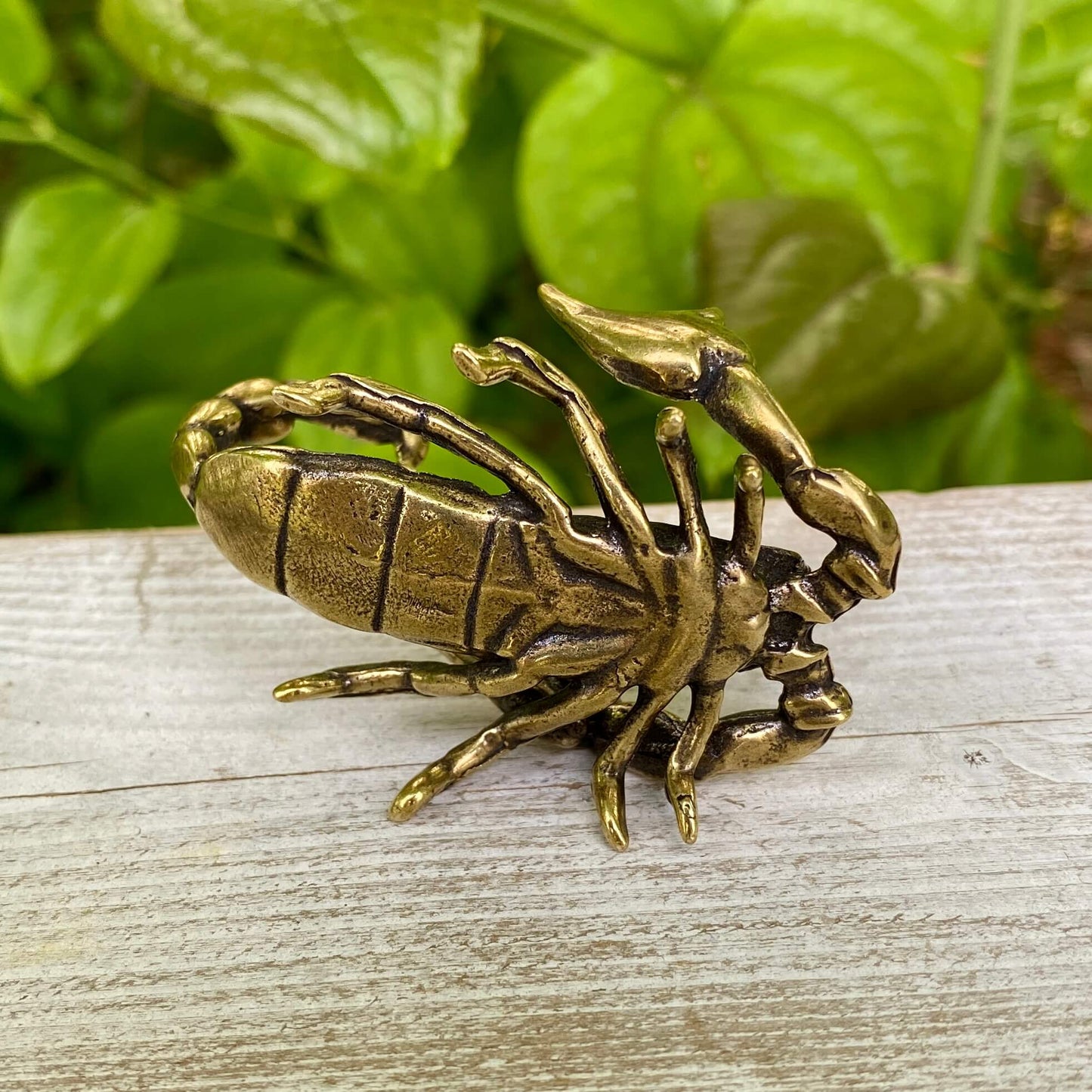 Solid Brass Scorpion - Symbol of Respect, Confidence & Power