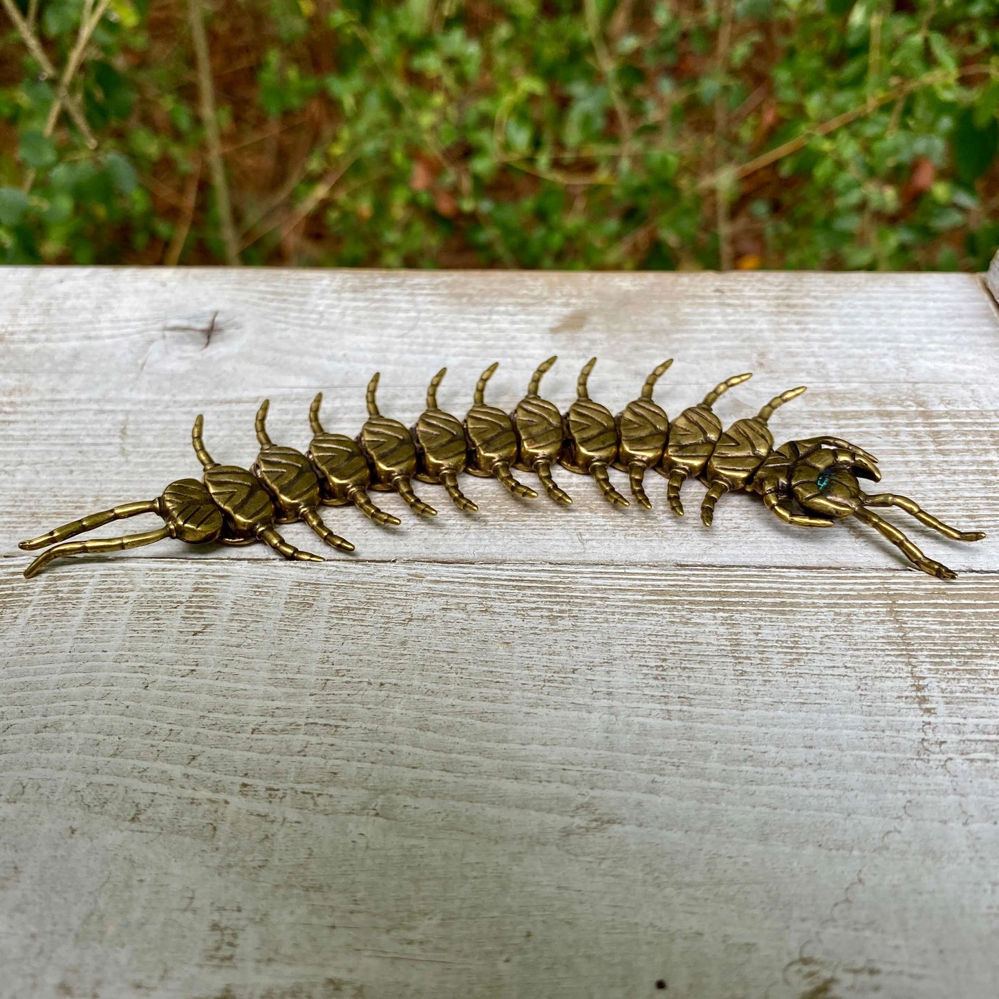Wild Brass bendable solid brass centipede sculpture symbolizing protection, persistence, and flexibility, with detailed segmented body.