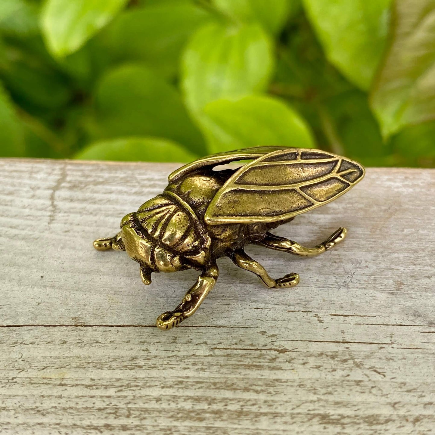 Solid Brass Cicada - Symbol of Personal Growth, Awakening & Renewal