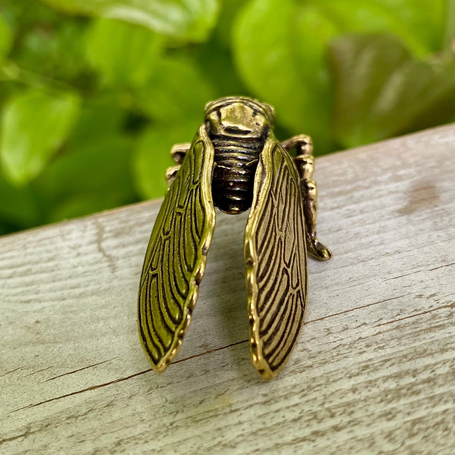 Solid Brass Cicada - Symbol of Personal Growth, Awakening & Renewal