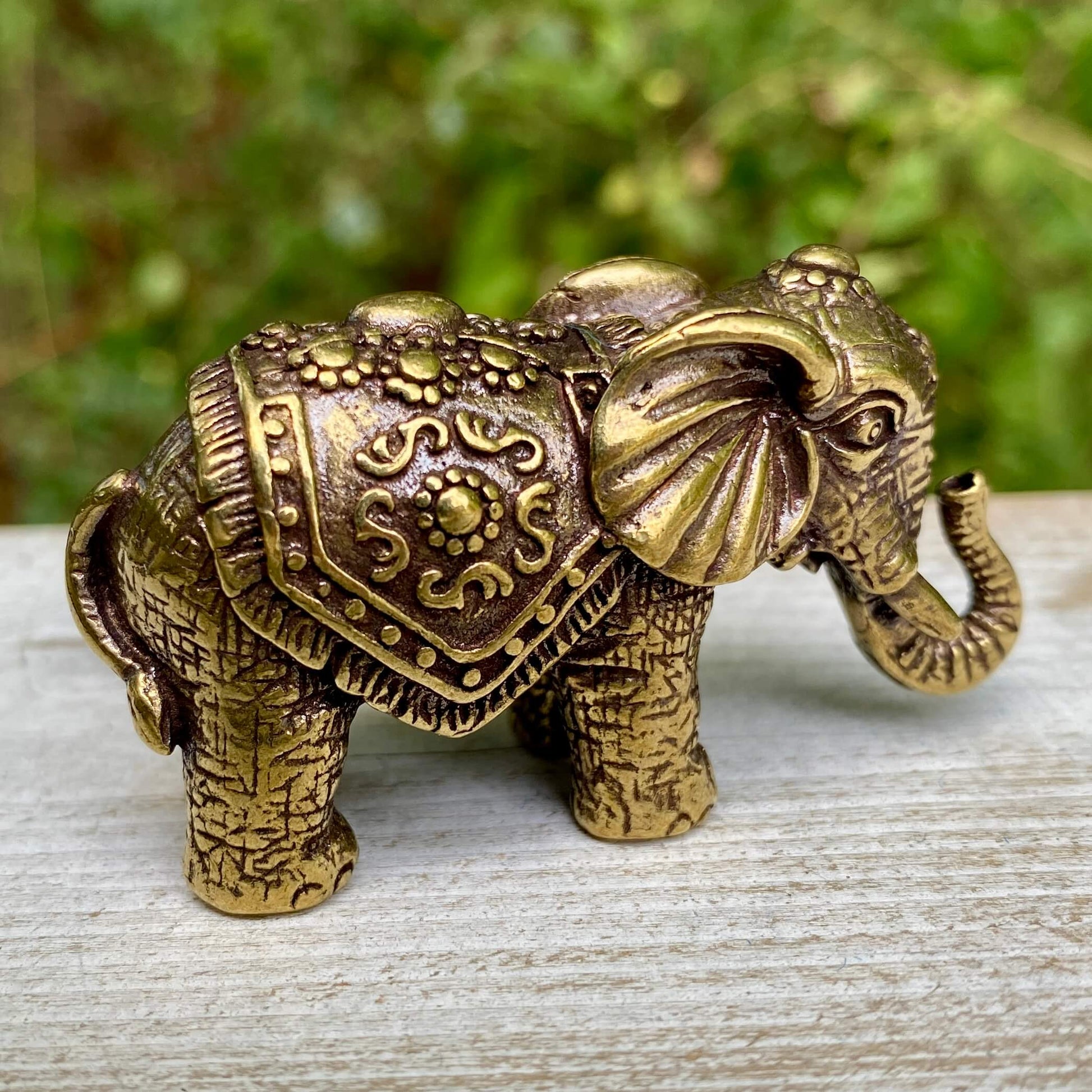 Solid brass Indian elephant figurine by Wild Brass, symbol of wisdom, strength, and good fortune, shown in a close-up view.