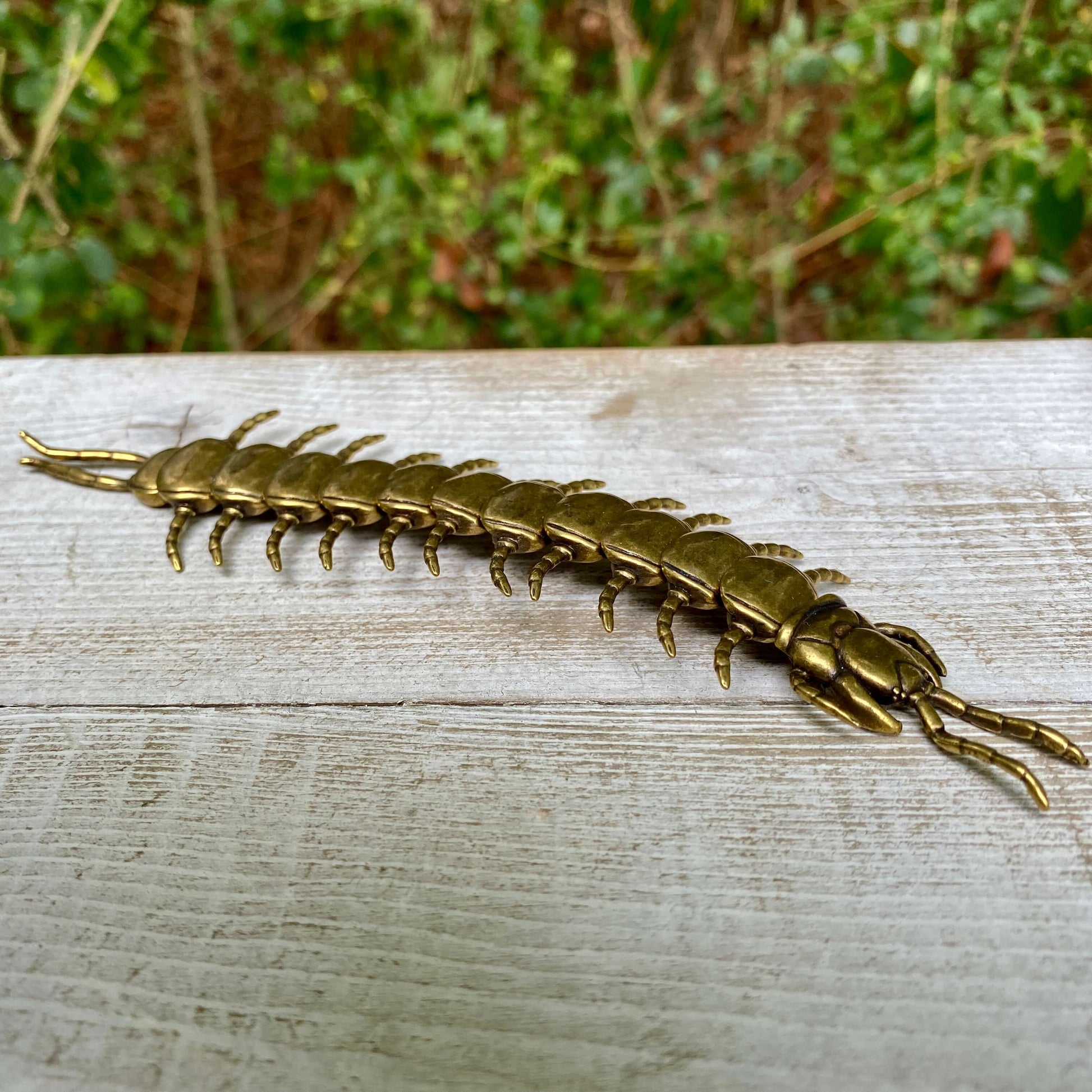 Wild Brass bendable solid brass centipede sculpture symbolizing protection, persistence, and flexibility, shown in a detailed close-up.
