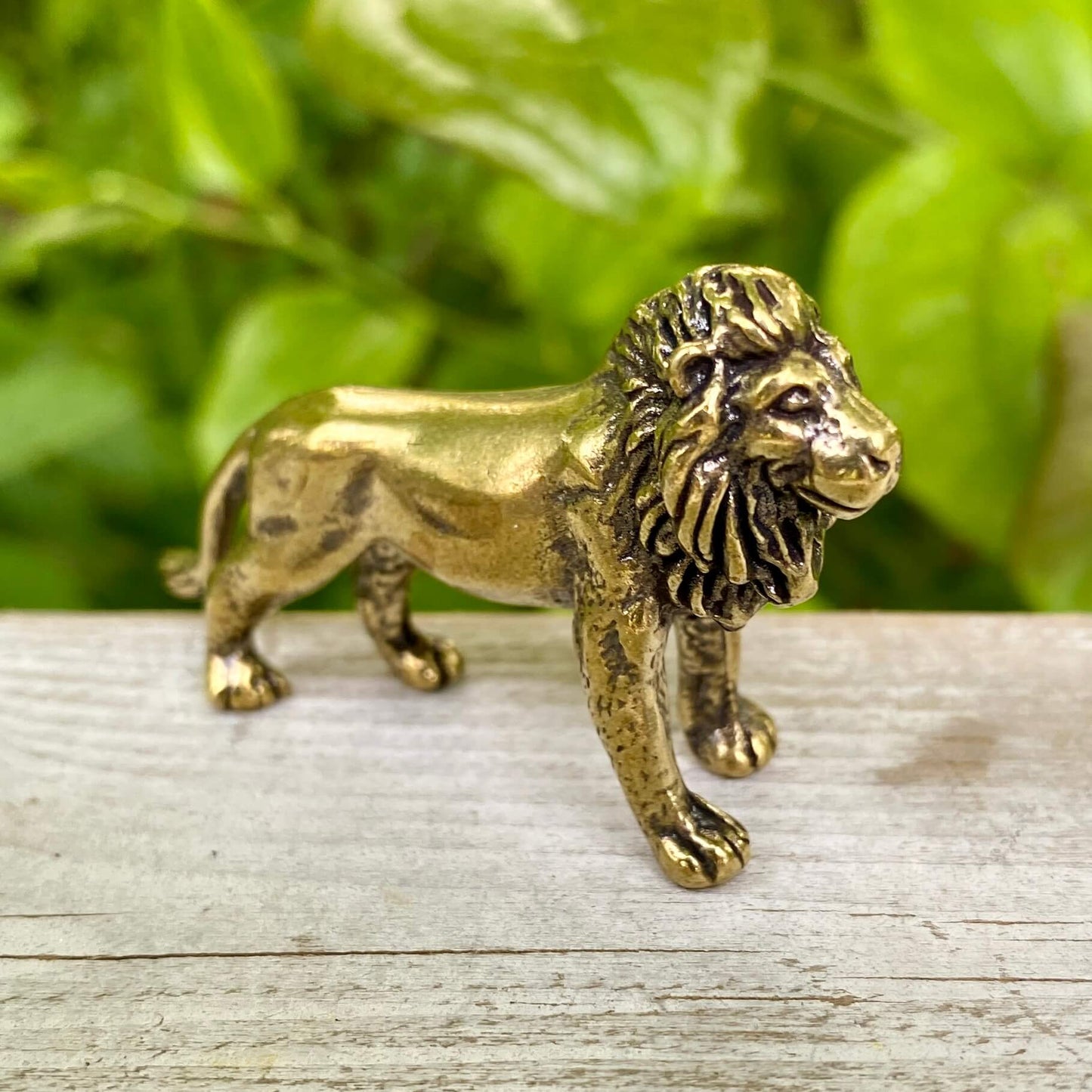 Solid Brass Lion – Symbol of Courage, Leadership & Strength