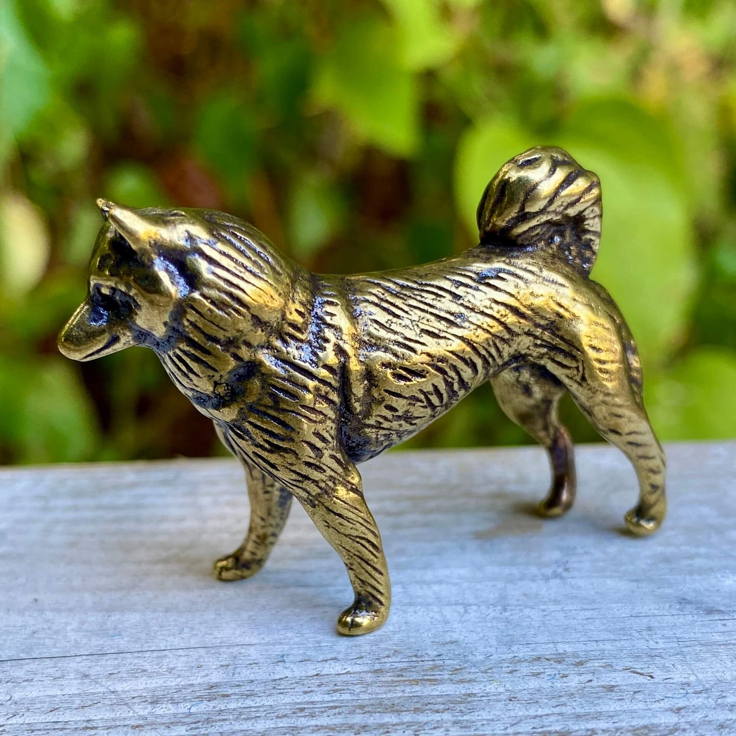 Solid brass Shiba Inu dog figurine by Wild Brass, showcasing a detailed loyal and courageous dog symbol of independence.