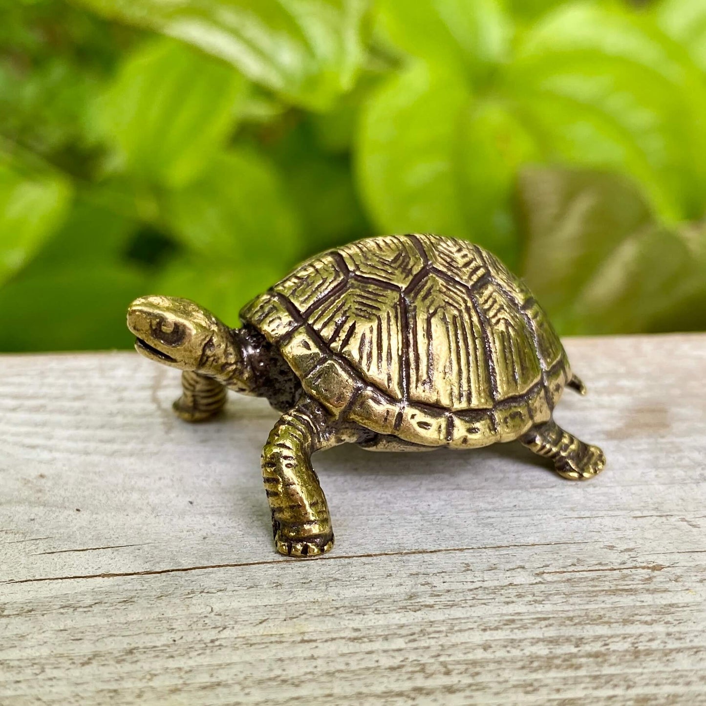 Solid Brass Land Turtle / Tortoise - Symbol of Patience, Wisdom & Balance