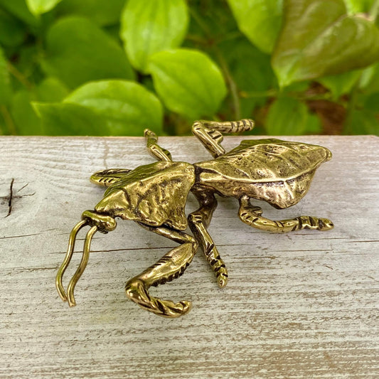 Solid Brass Devils Flower Mantis - Symbol of Transformation - Precision & Patience