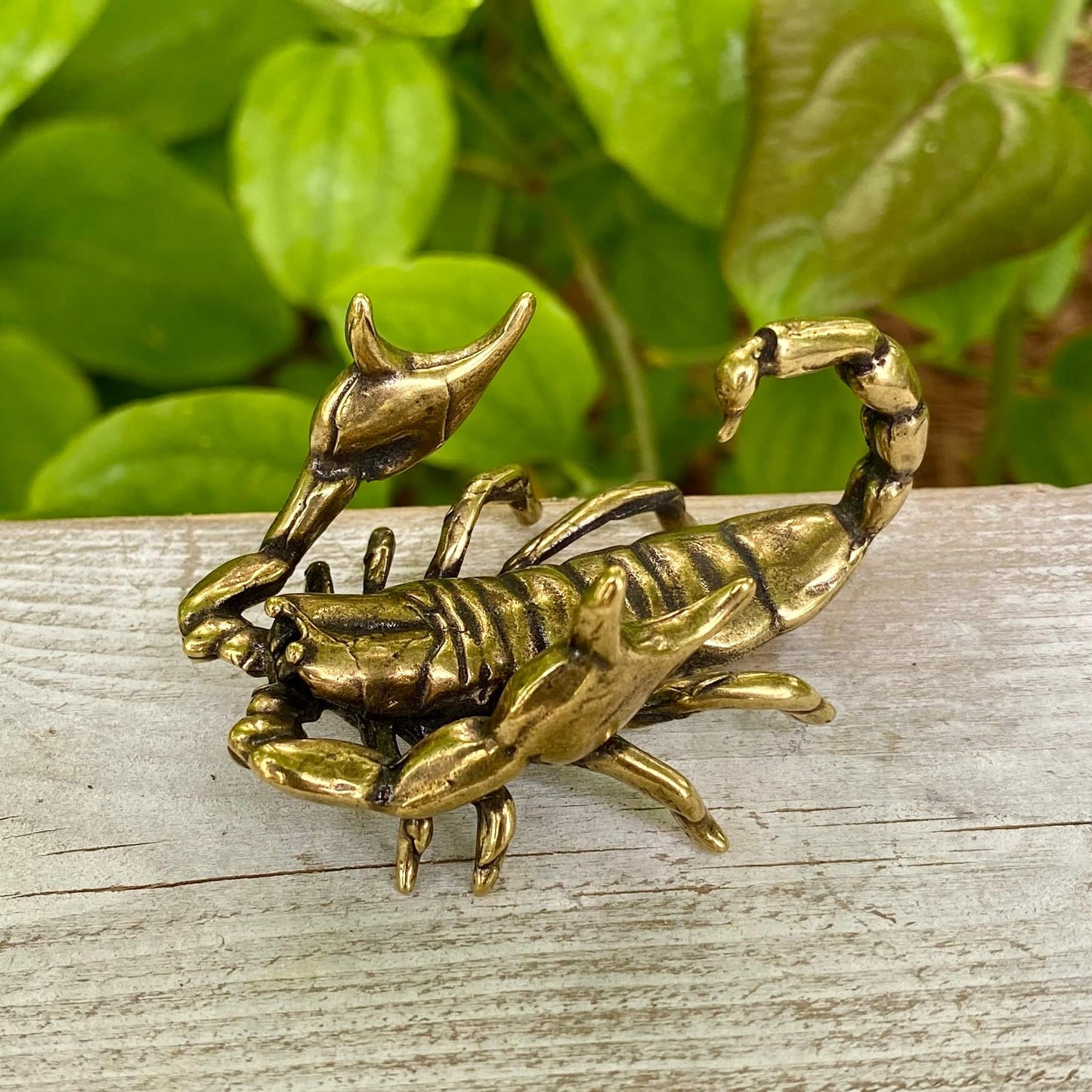 Solid Brass Scorpion - Symbol of Respect, Confidence & Power
