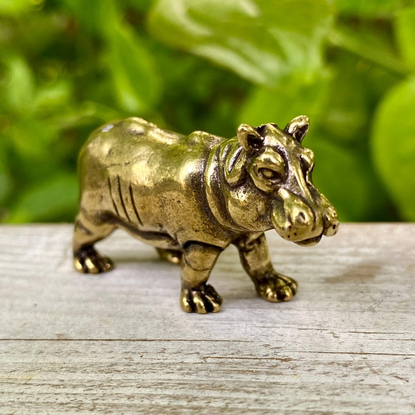 Solid Brass Hippo / Hippopotamus - Symbol of Grounding, Protection & Strength