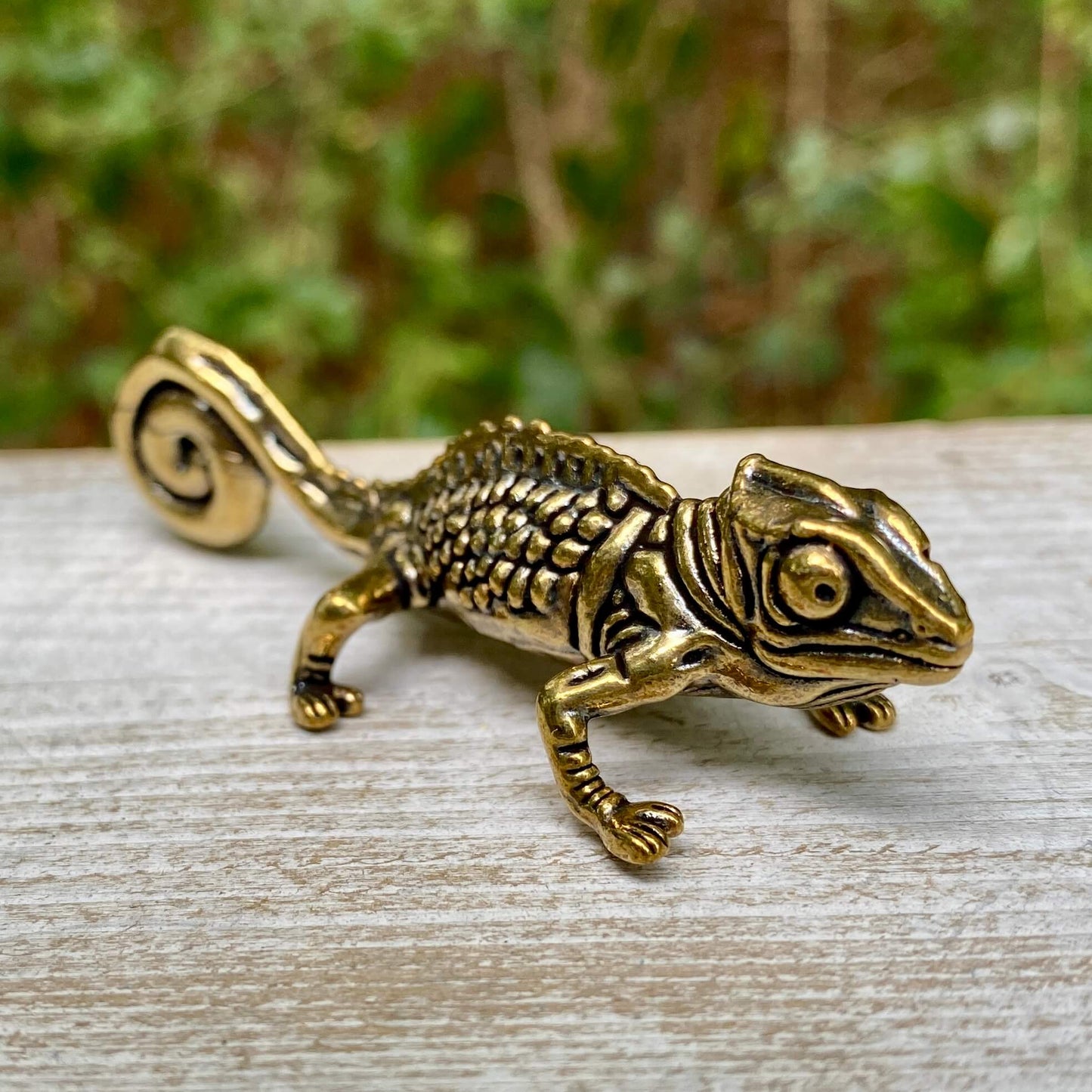 Solid brass chameleon sculpture by Wild Brass symbolizing adaptability and change, shown with detailed craftsmanship.