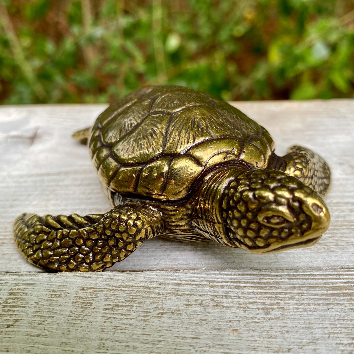 Solid brass sea turtle sculpture by Wild Brass, symbolizing longevity, wisdom, and endurance with detailed craftsmanship.
