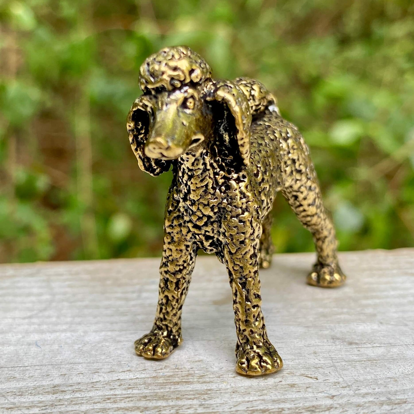 Solid brass poodle statue by Wild Brass, showcasing an elegant, detailed poodle figure symbolizing loyalty and intelligence.
