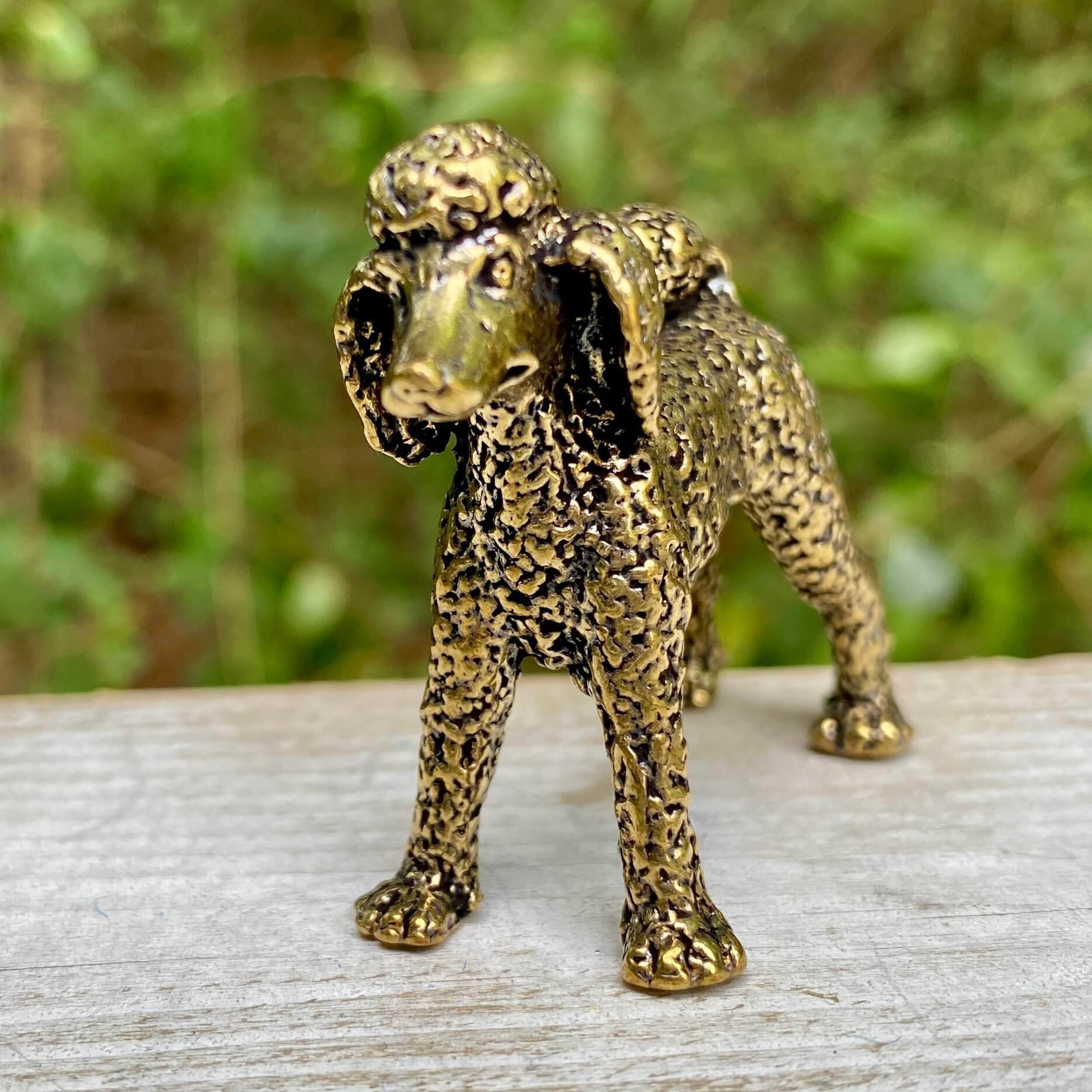 Solid brass poodle statue by Wild Brass, showcasing an elegant, detailed poodle figure symbolizing loyalty and intelligence.