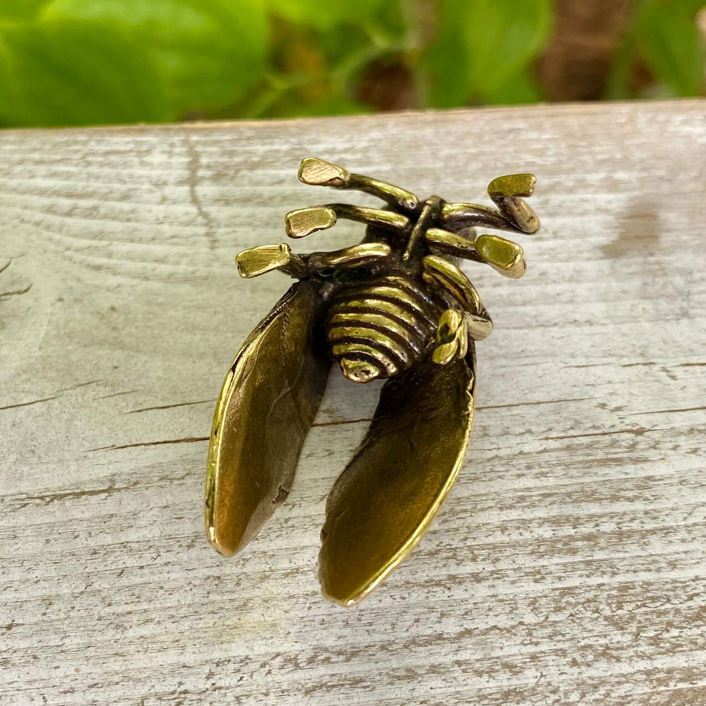 Solid Brass Cicada - Symbol of Personal Growth, Awakening & Renewal