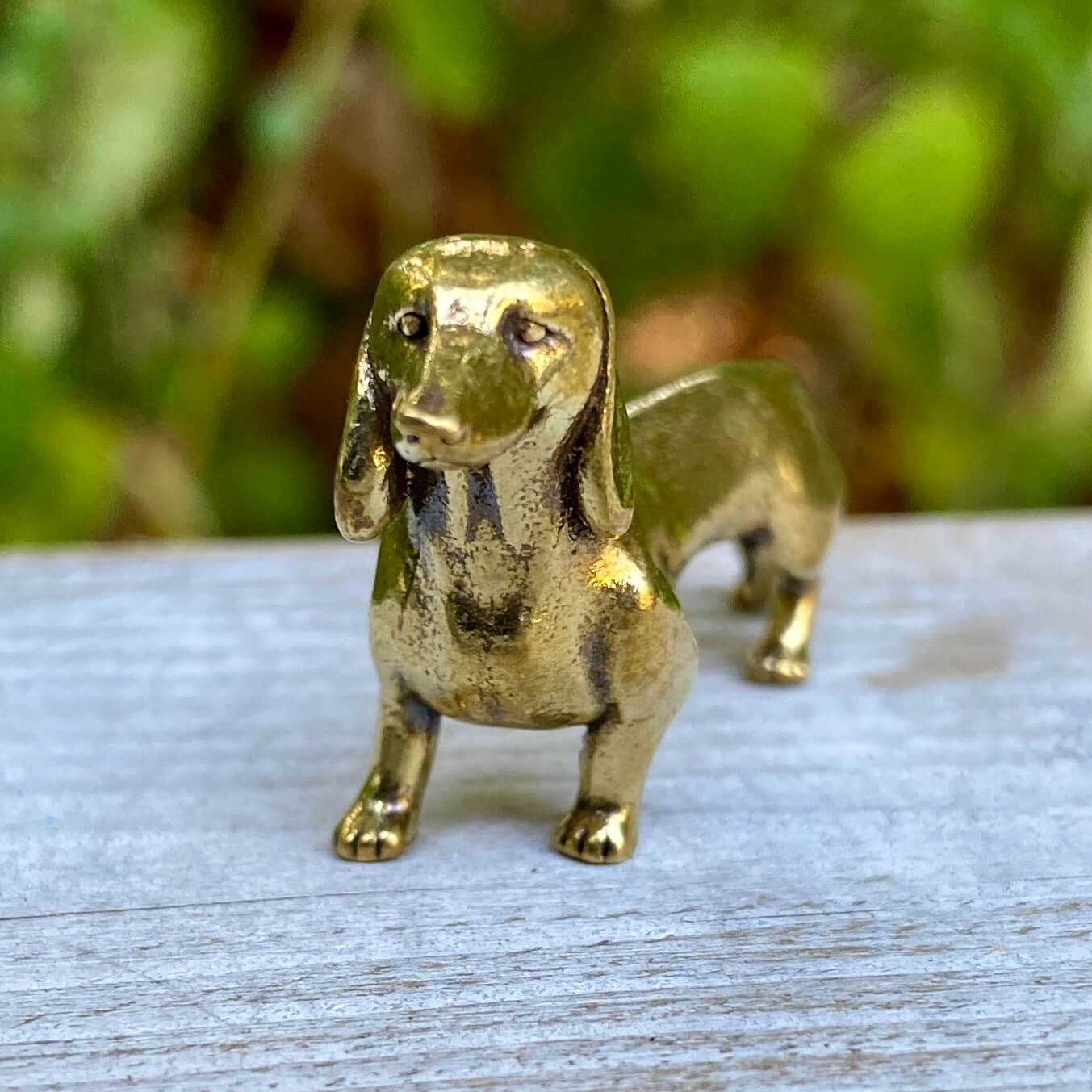 Solid brass Dachshund dog figurine by Wild Brass, symbol of courage, loyalty, and tenacity, detailed and polished for display.
