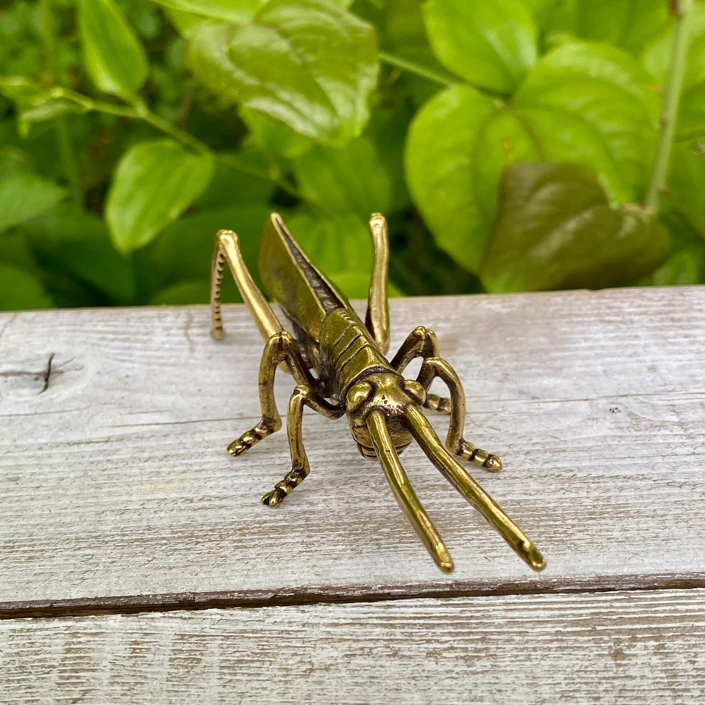 Solid Brass Grass Hopper - Symbol of Good Fortune, Growth & Faith