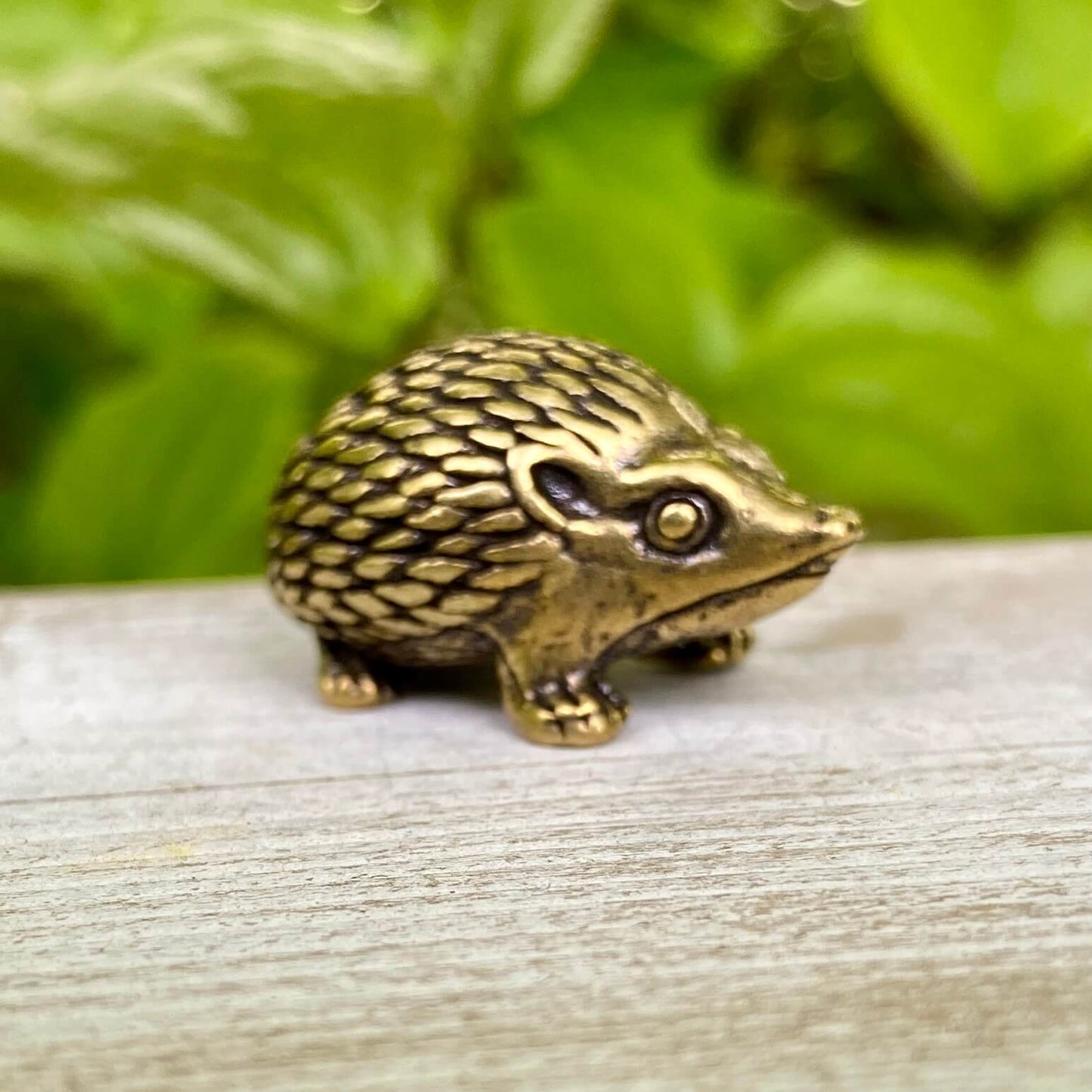 Solid Brass Hedgehog - Symbol of Curiosity, Protection & Resilience