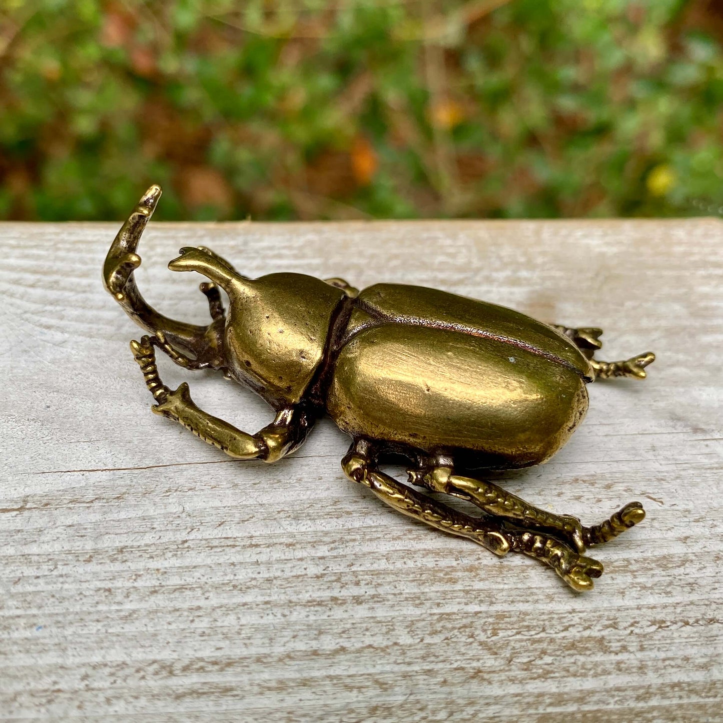 Solid brass rhinoceros beetle sculpture by Wild Brass, showcasing detailed craftsmanship and a symbol of strength and resilience.