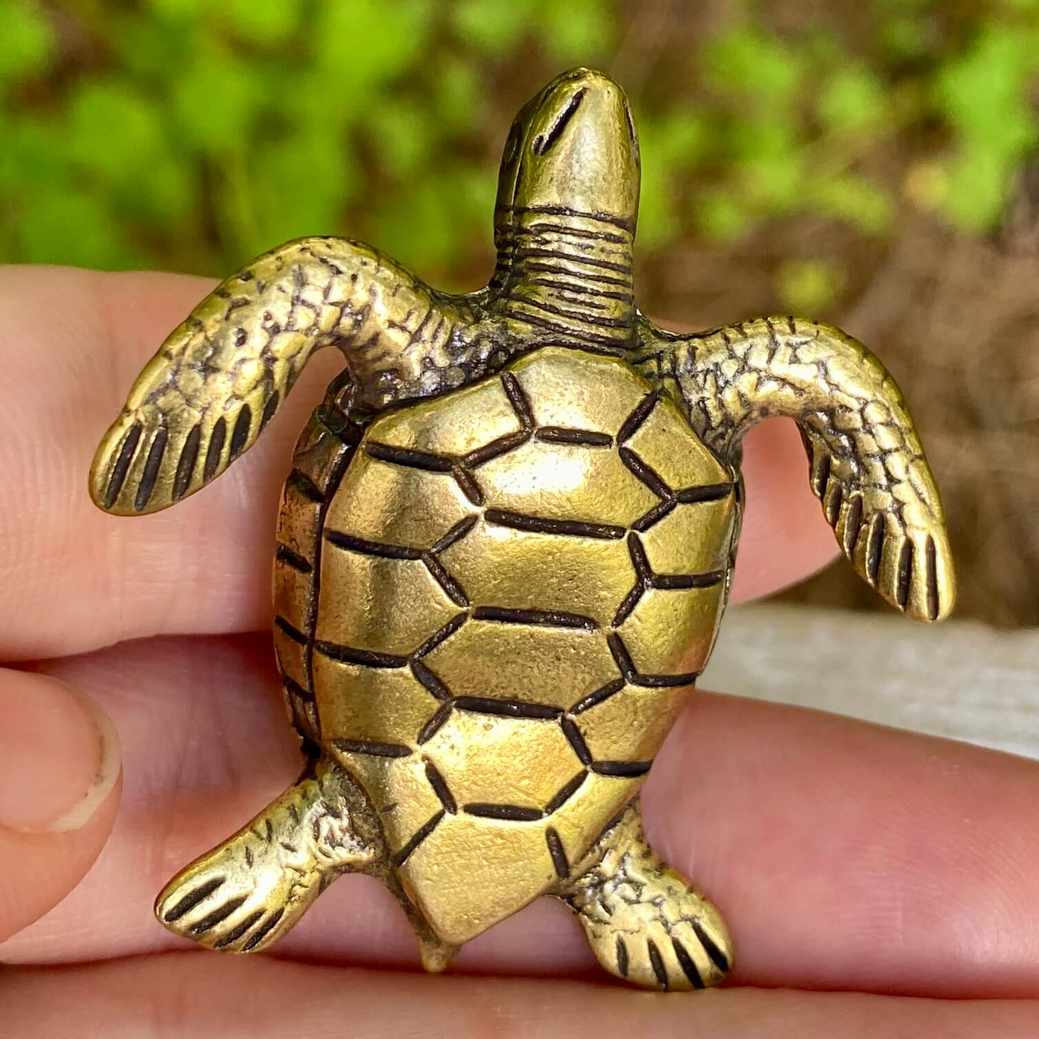 Solid brass sea turtle sculpture by Wild Brass, symbolizing longevity, wisdom, and endurance, with detailed marine design.