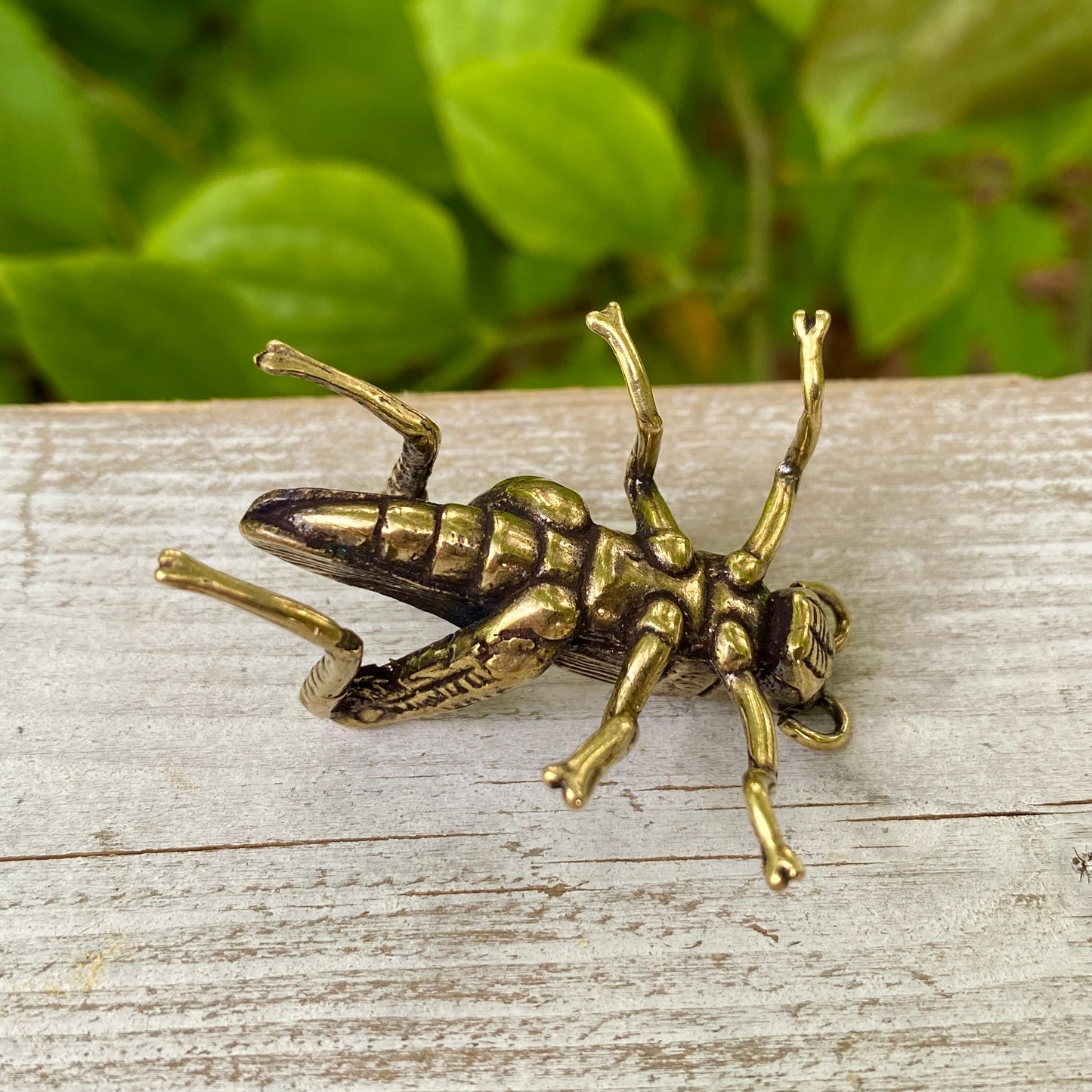 Solid Brass Grass Hopper / Cricket - Symbol of Good Fortune, Growth & Faith