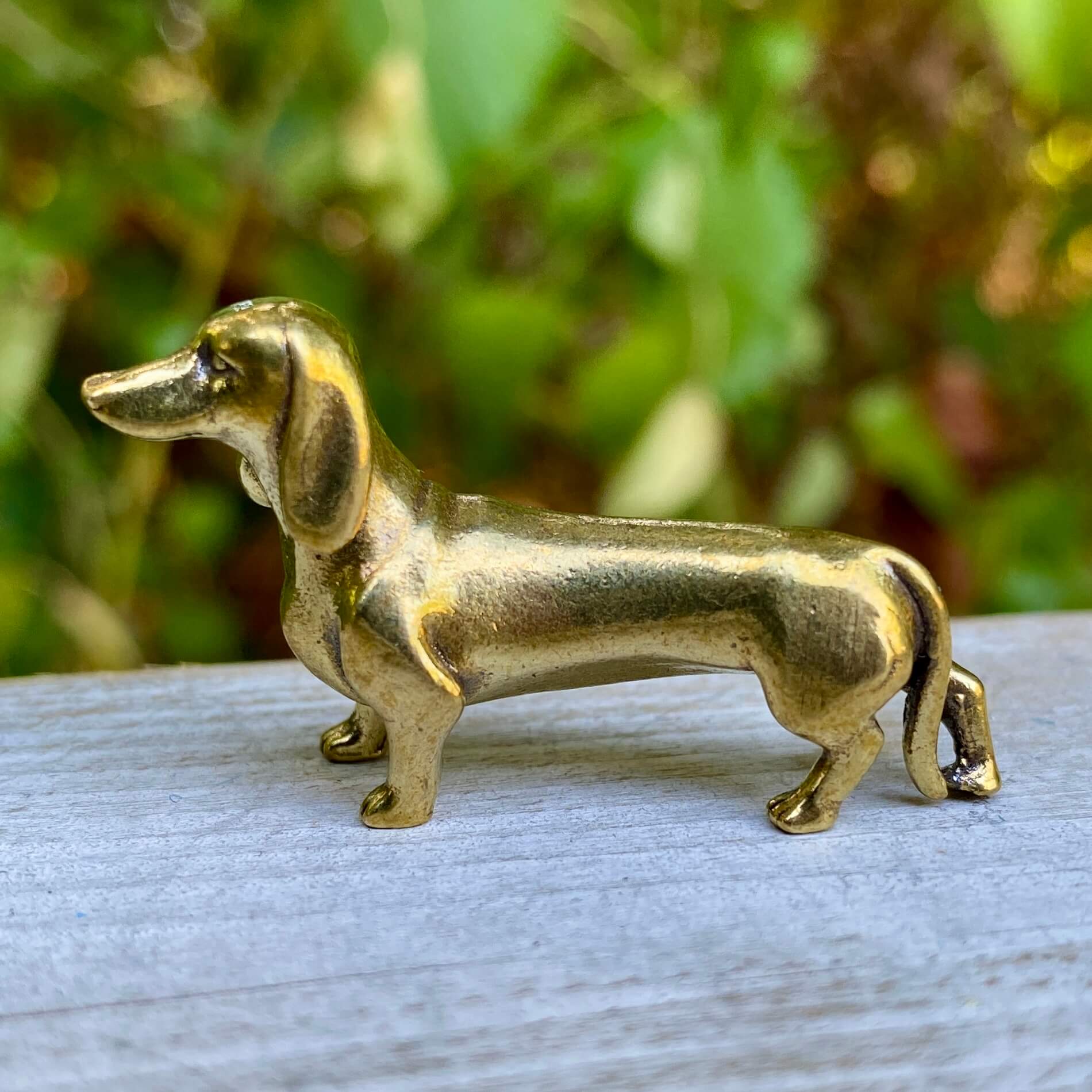 Solid brass dachshund dog sculpture by Wild Brass, showcasing a detailed, polished figure symbolizing courage, loyalty, and tenacity.