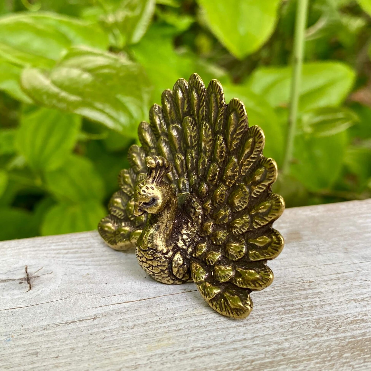 Solid Brass Peacock - Symbol of Beauty, Radiance & Elegance