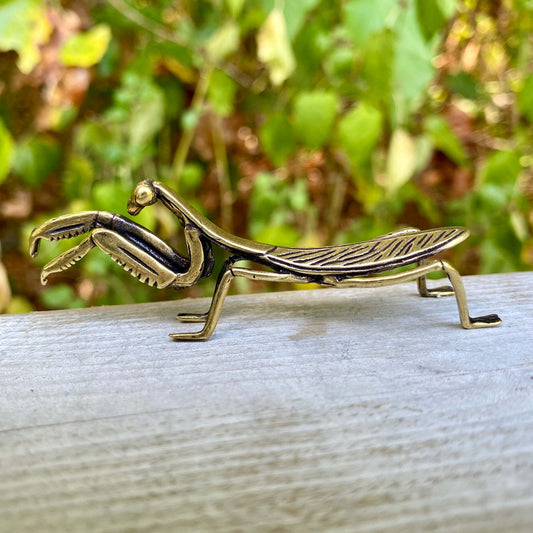 Solid brass praying mantis sculpture by Wild Brass, symbolizing stillness, patience, and mindfulness, shown on a neutral background.