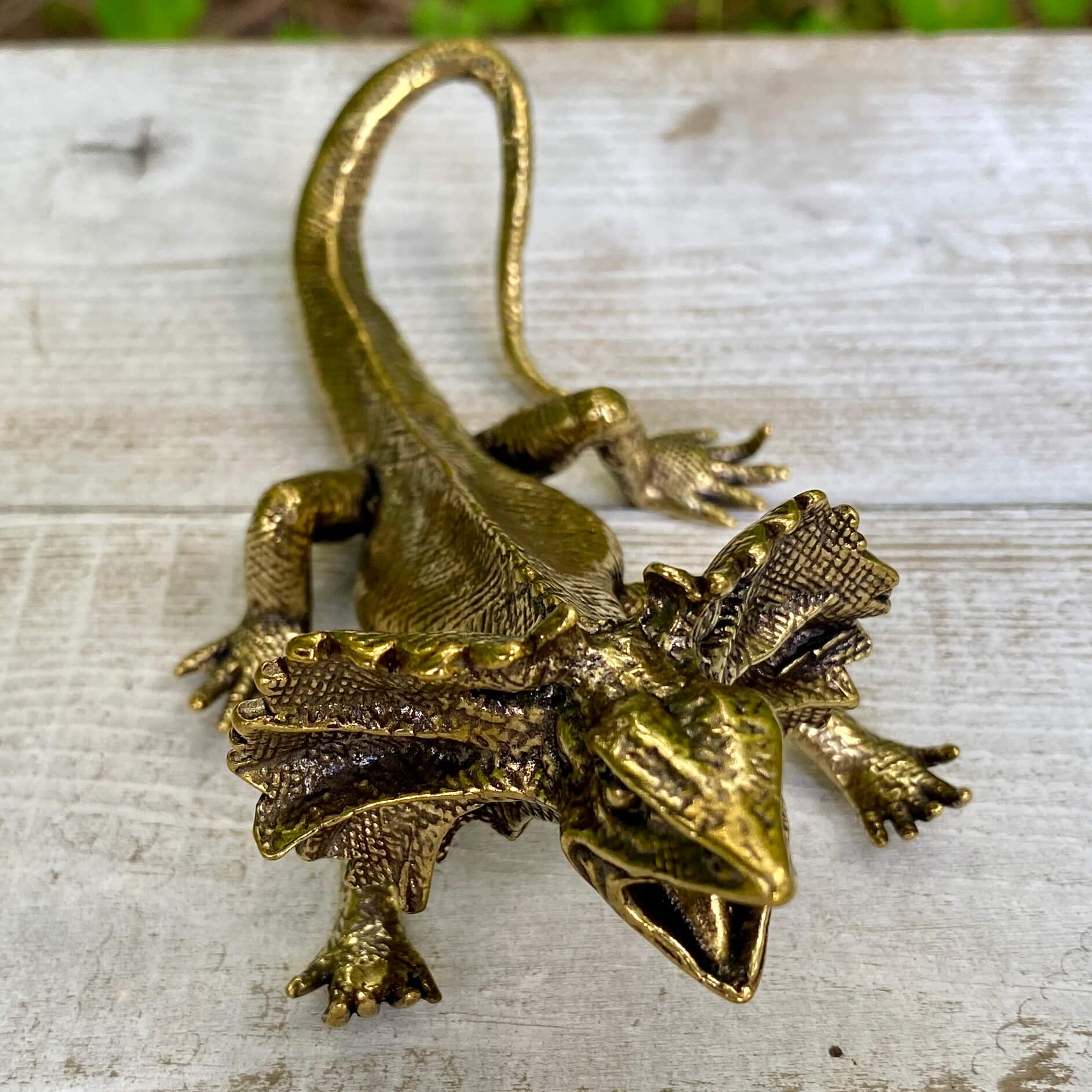 Solid brass veiled lizard figurine by Wild Brass, symbol of adaptability, resilience, and growth with detailed craftsmanship.