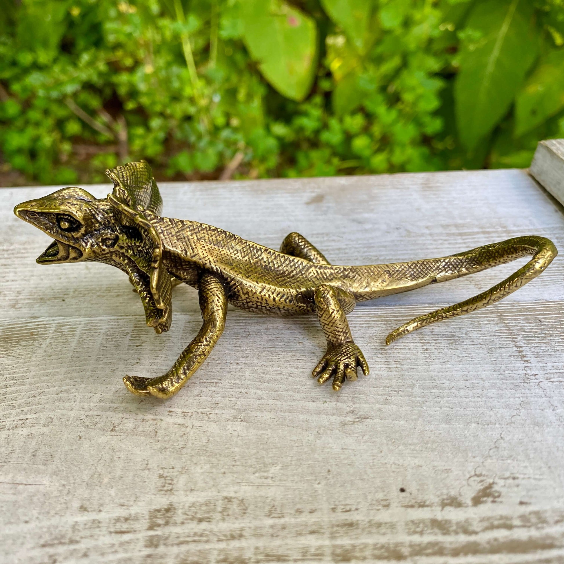 Solid brass veiled lizard figurine by Wild Brass, symbolizing adaptability, resilience, and growth, shown in close-up detail.
