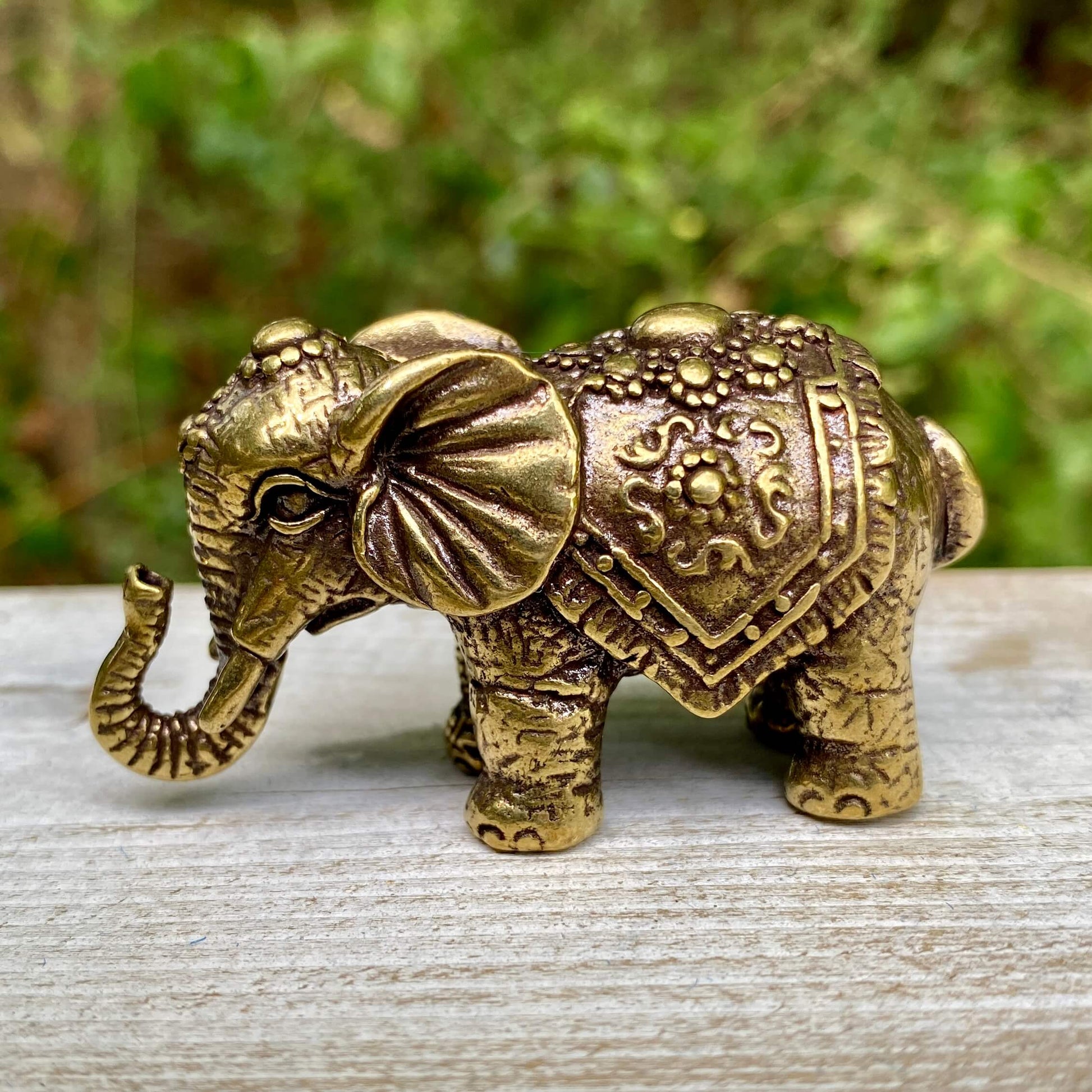 Solid brass Indian elephant figurine by Wild Brass, featuring intricate details symbolizing wisdom, strength, and good fortune.