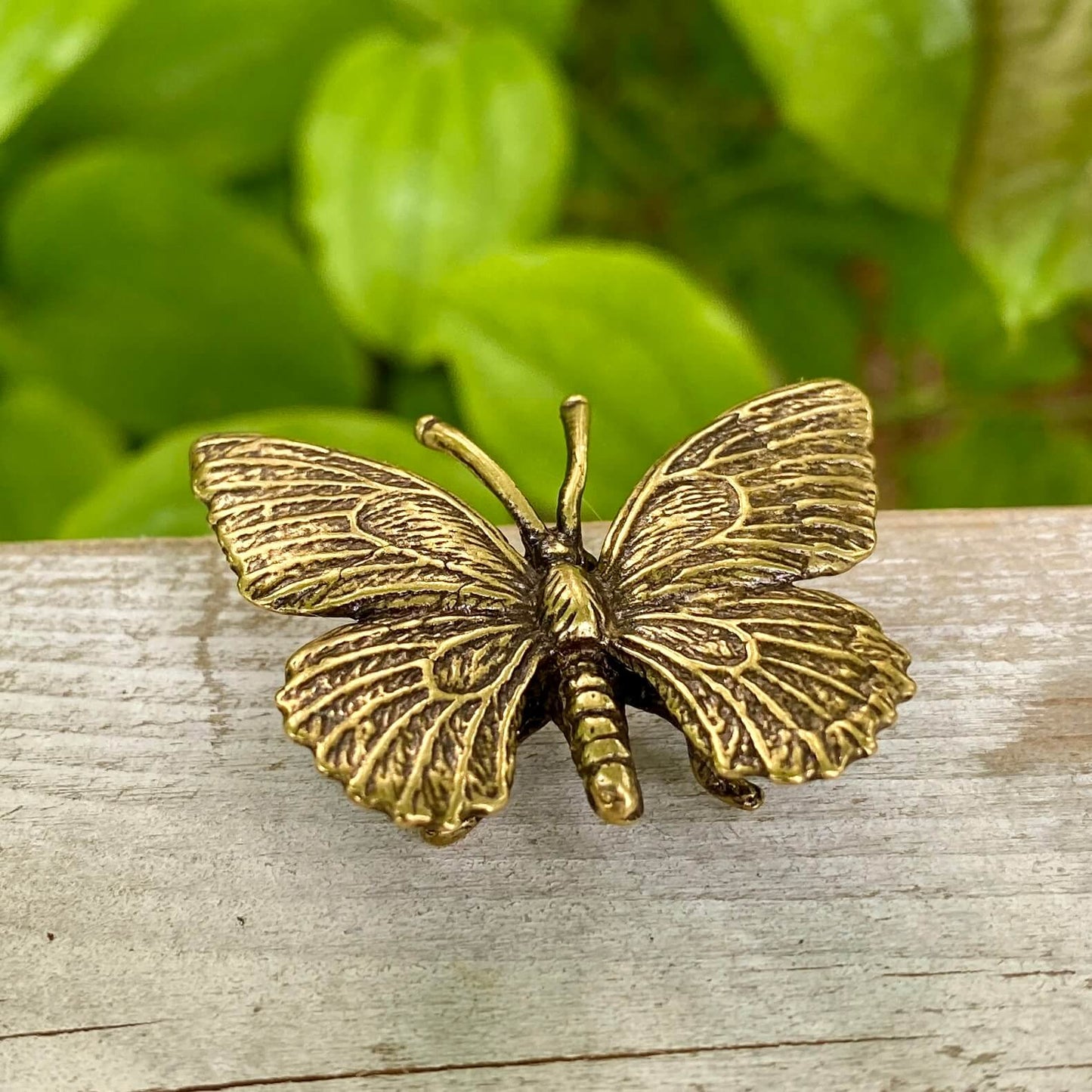 Solid Brass Butterfly - Symbol of Metamorphosis, Transformation & Revealing your True Self