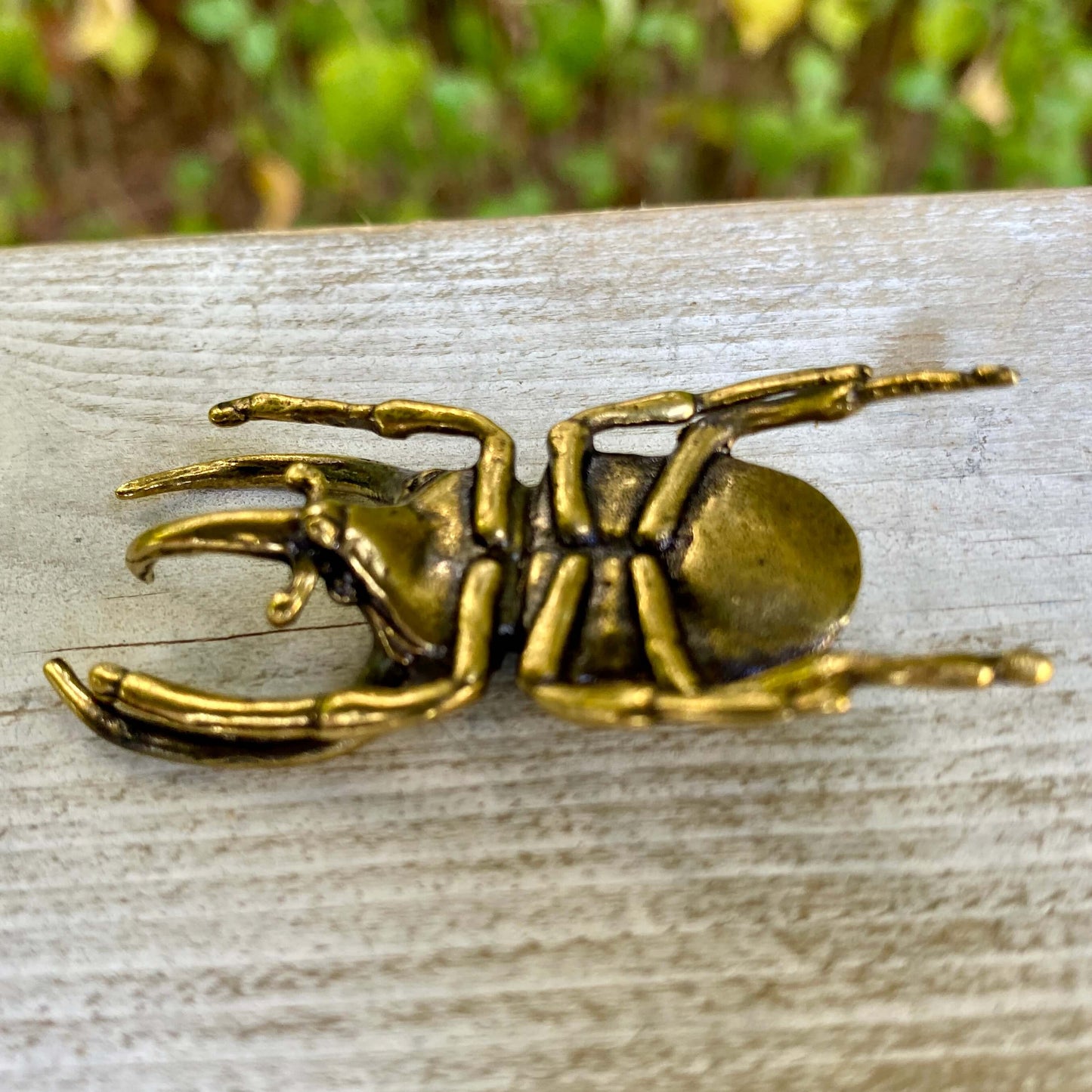 Solid brass Trypoxylus horned rhinoceros beetle sculpture by Wild Brass, showcasing detailed, strong, and symbolic insect design.