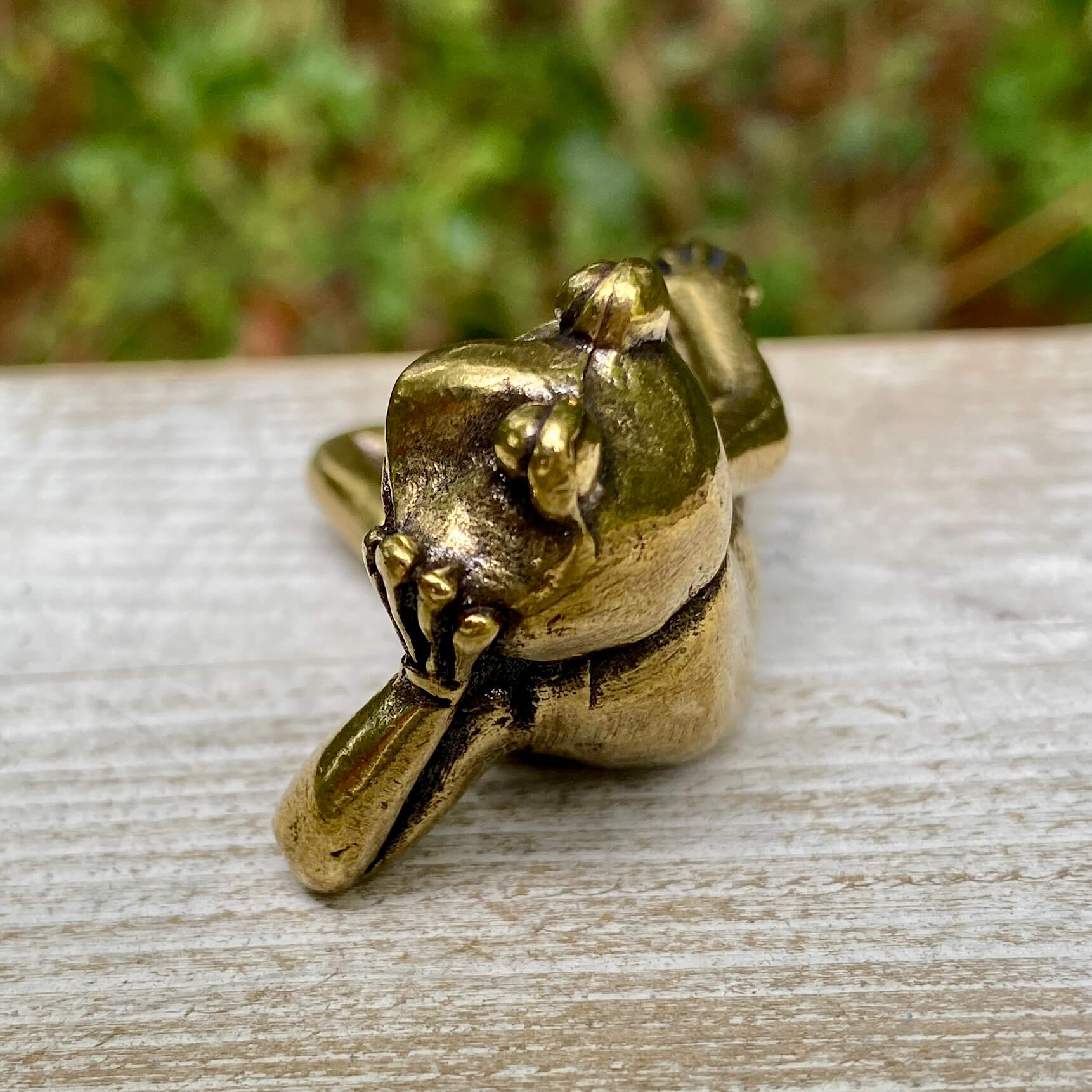Solid brass frog figurine from Wild Brass, symbol of transformation, renewal, and luck, shown lounging with detailed craftsmanship.