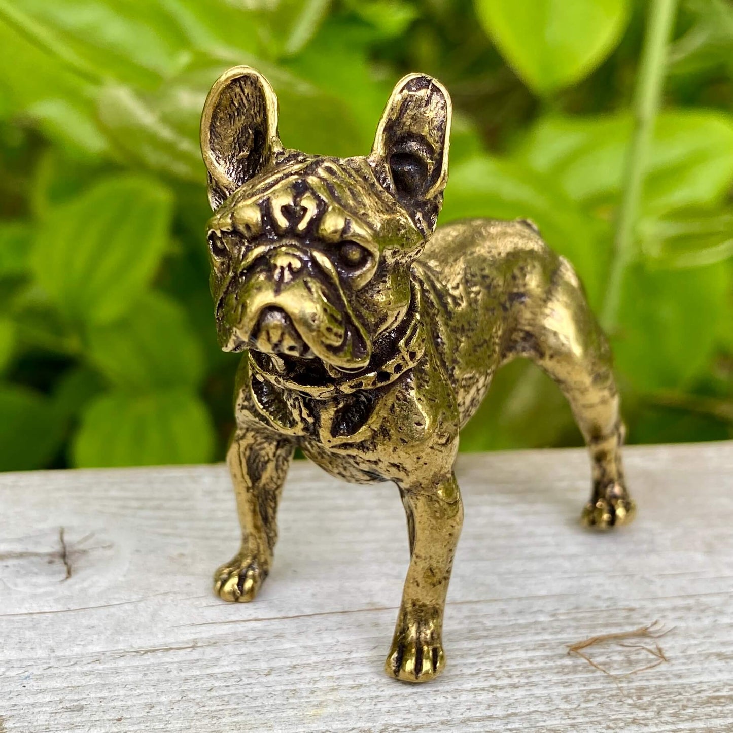 Solid Brass French Bulldog Dog / Frenchie - Symbol of Charm, Loyalty & Friendship