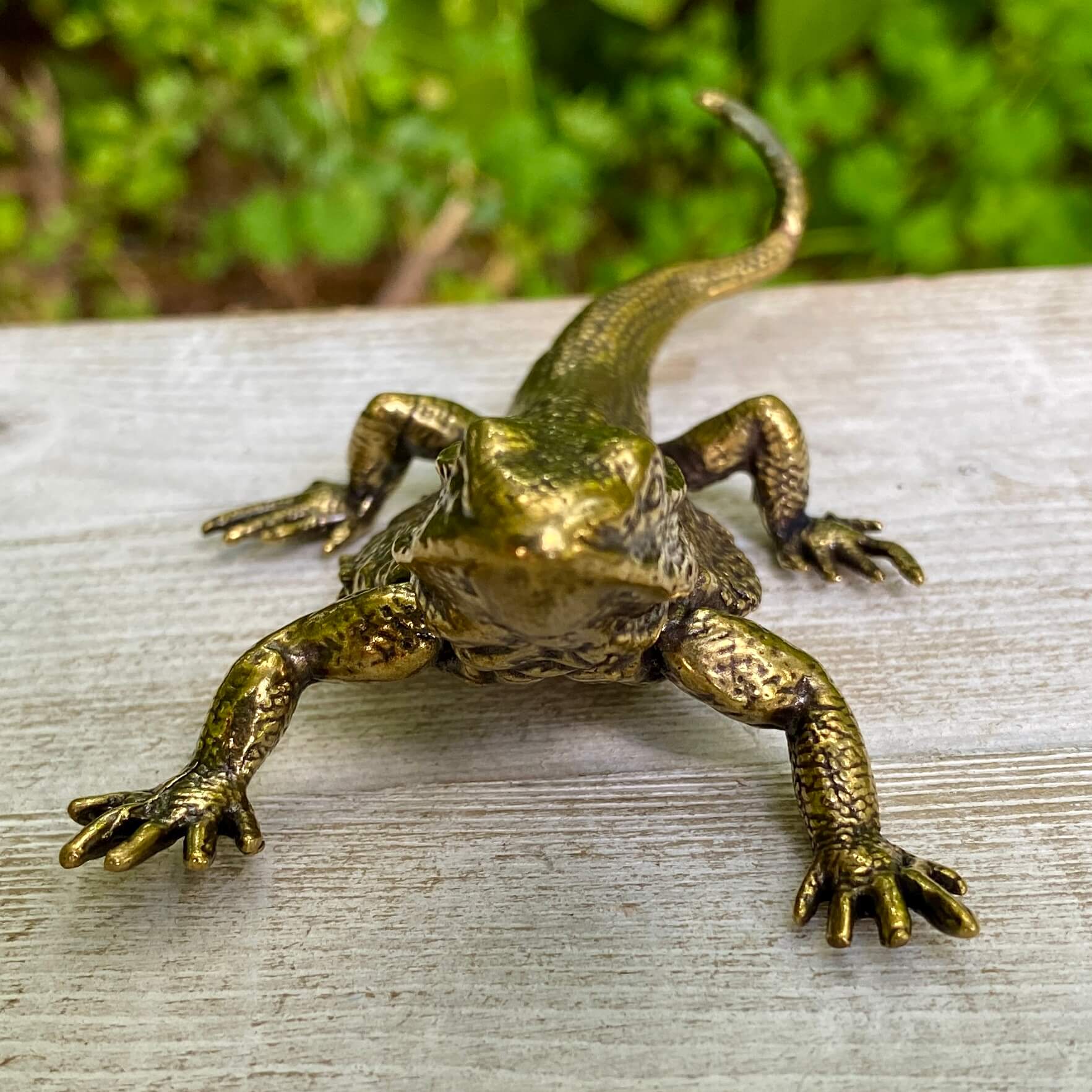 Solid brass lizard sculpture by Wild Brass, symbol of regeneration and adaptability, shown in detailed close-up.