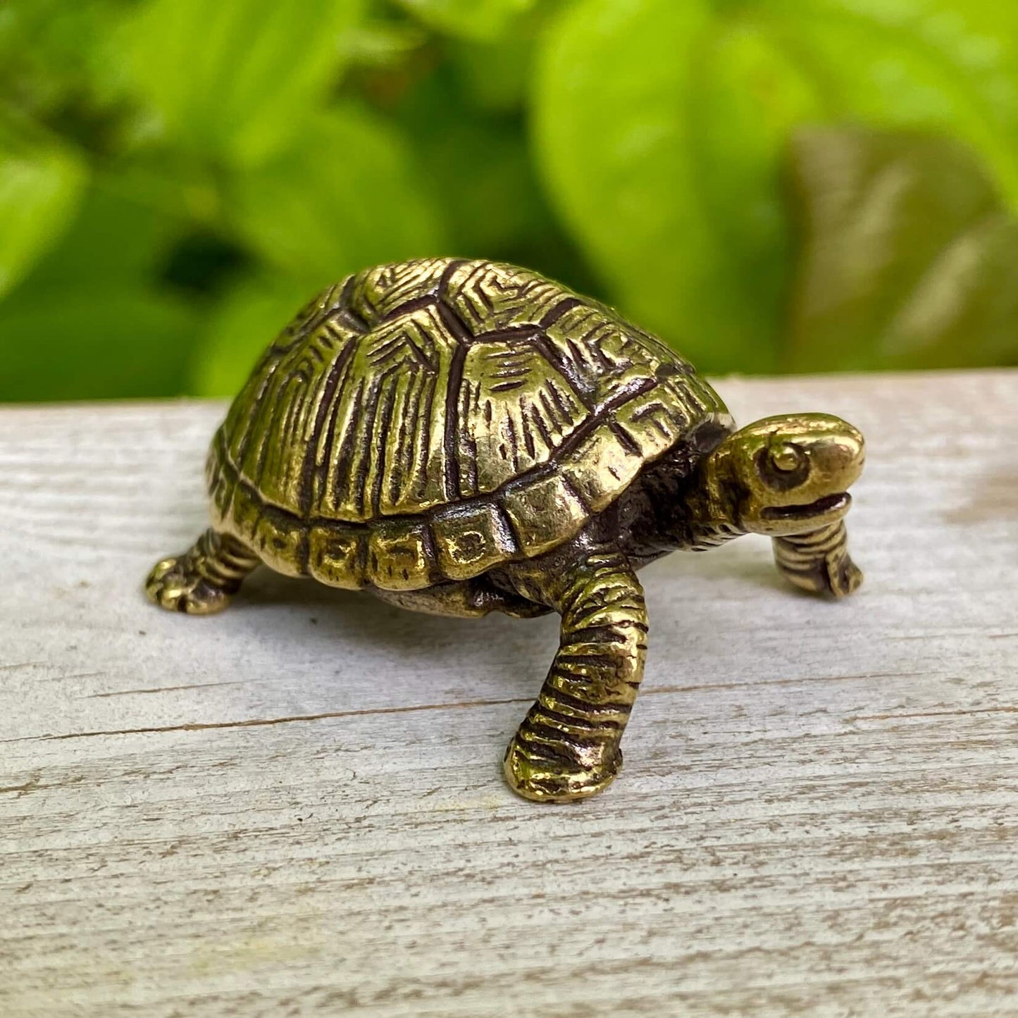 Solid Brass Land Turtle / Tortoise - Symbol of Patience, Wisdom & Balance