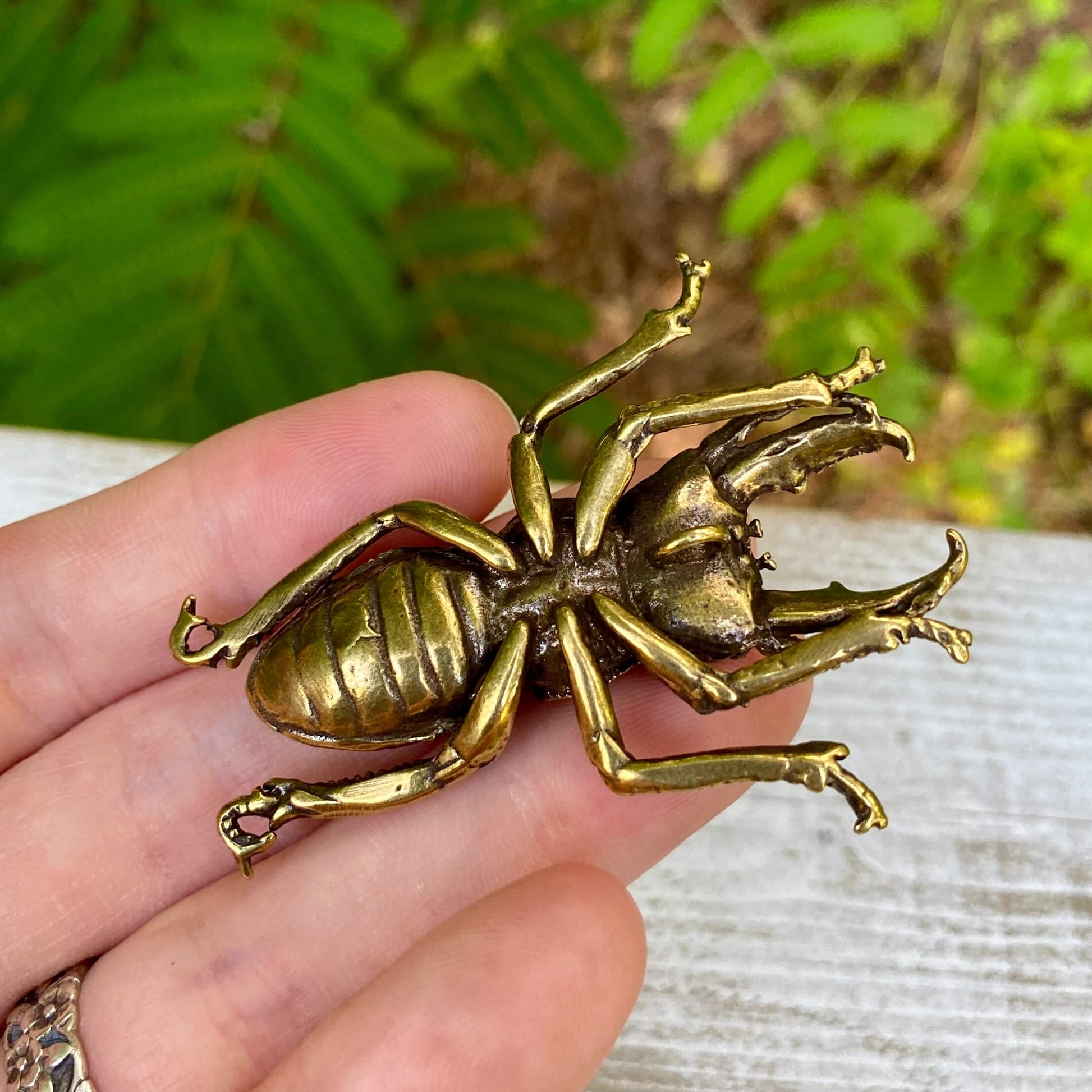 Solid brass stag beetle sculpture by Wild Brass, symbol of strength, protection, and renewal, detailed with intricate horn and body features.