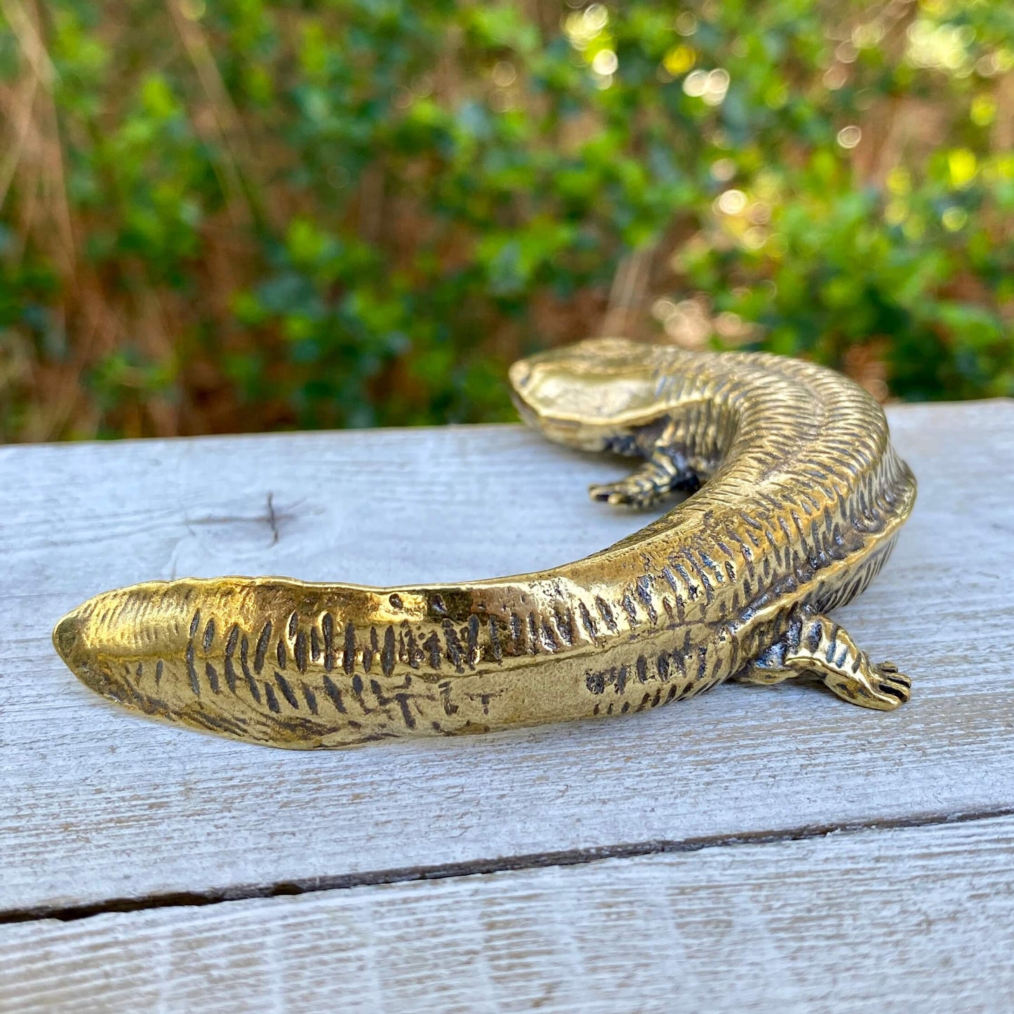 Solid brass salamander sculpture by Wild Brass, symbol of resilience and adaptability, featuring detailed craftsmanship.