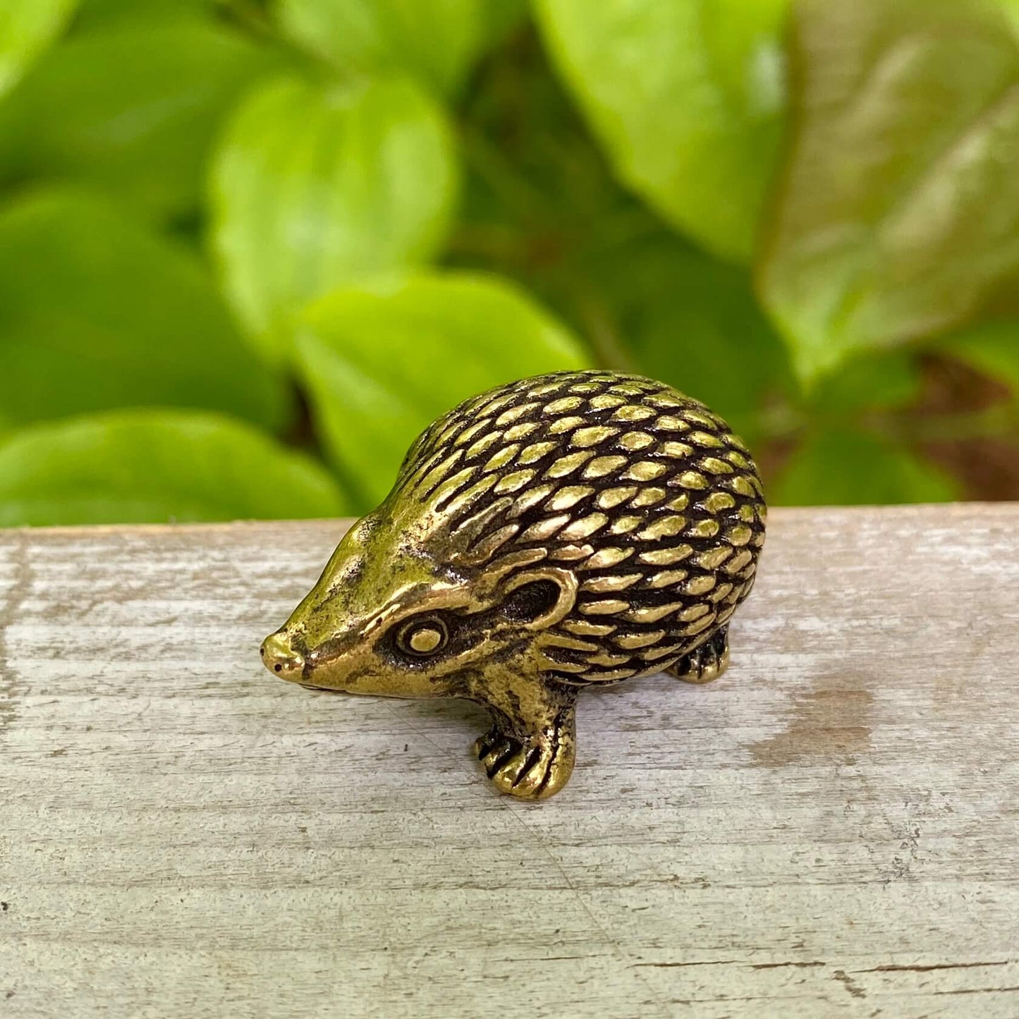 Solid Brass Hedgehog - Symbol of Curiosity, Protection & Resilience